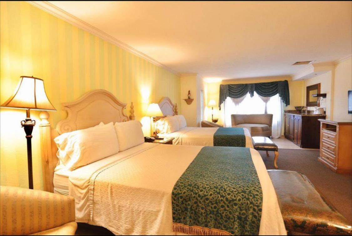 Standard Double Suite photo 2