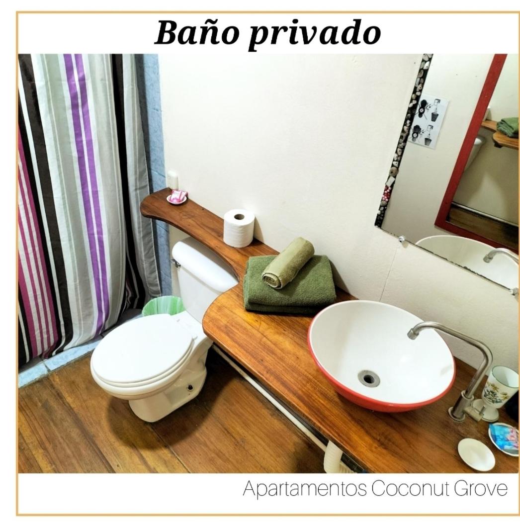 Studio Apartment photo 3