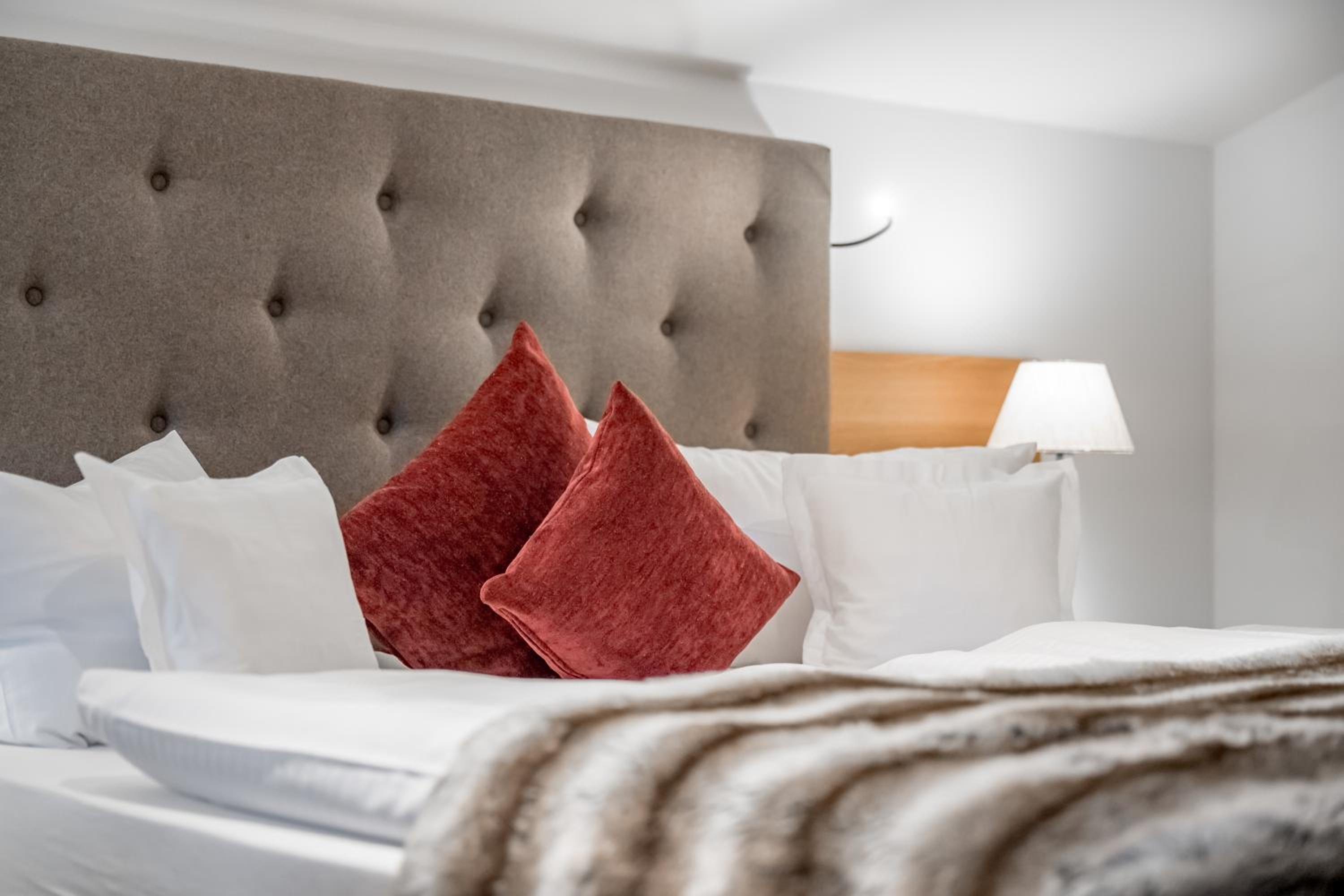 One-Bedroom Suite - Photo 1