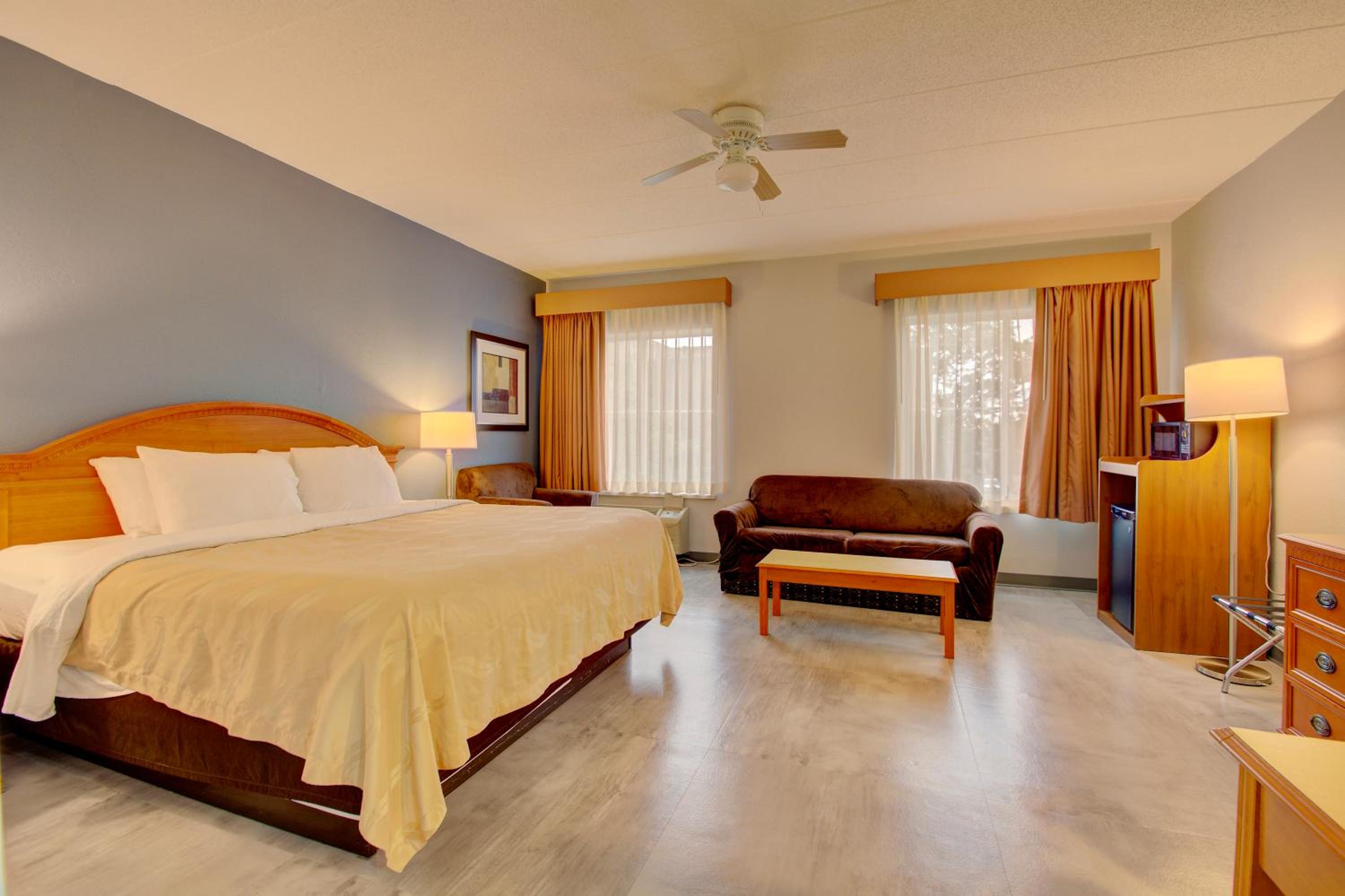 Deluxe King Suite photo 1