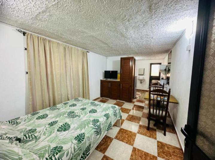 One-Bedroom Apartment photo 1