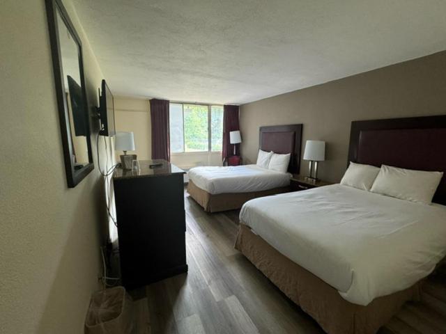 Standard Double Room - Photo 2