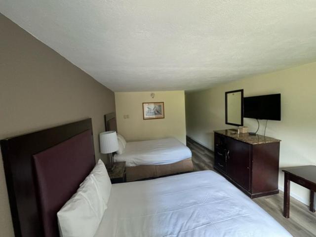 Standard Double Room - Photo 3