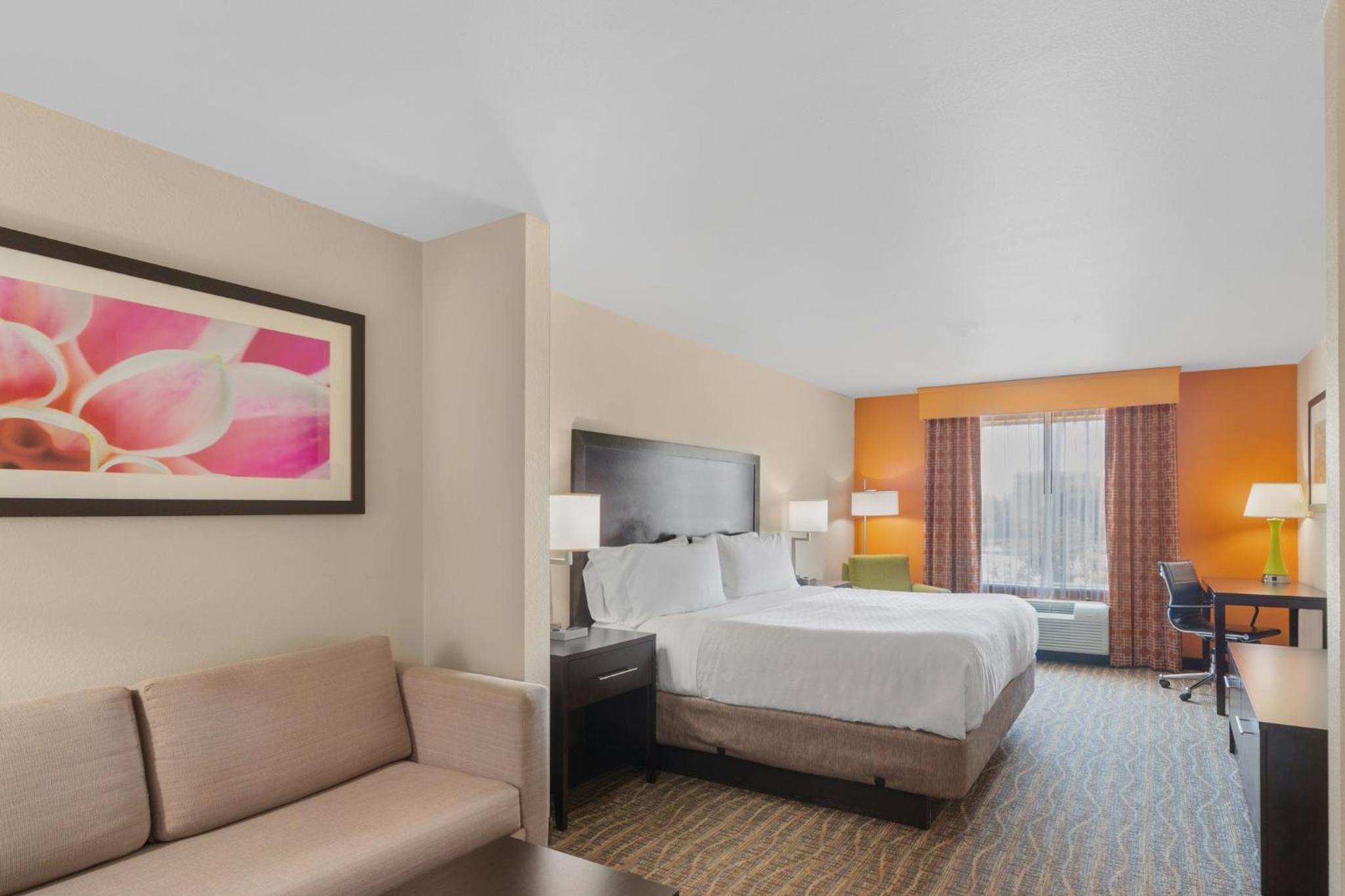 Executive Suite with Sofa Bed