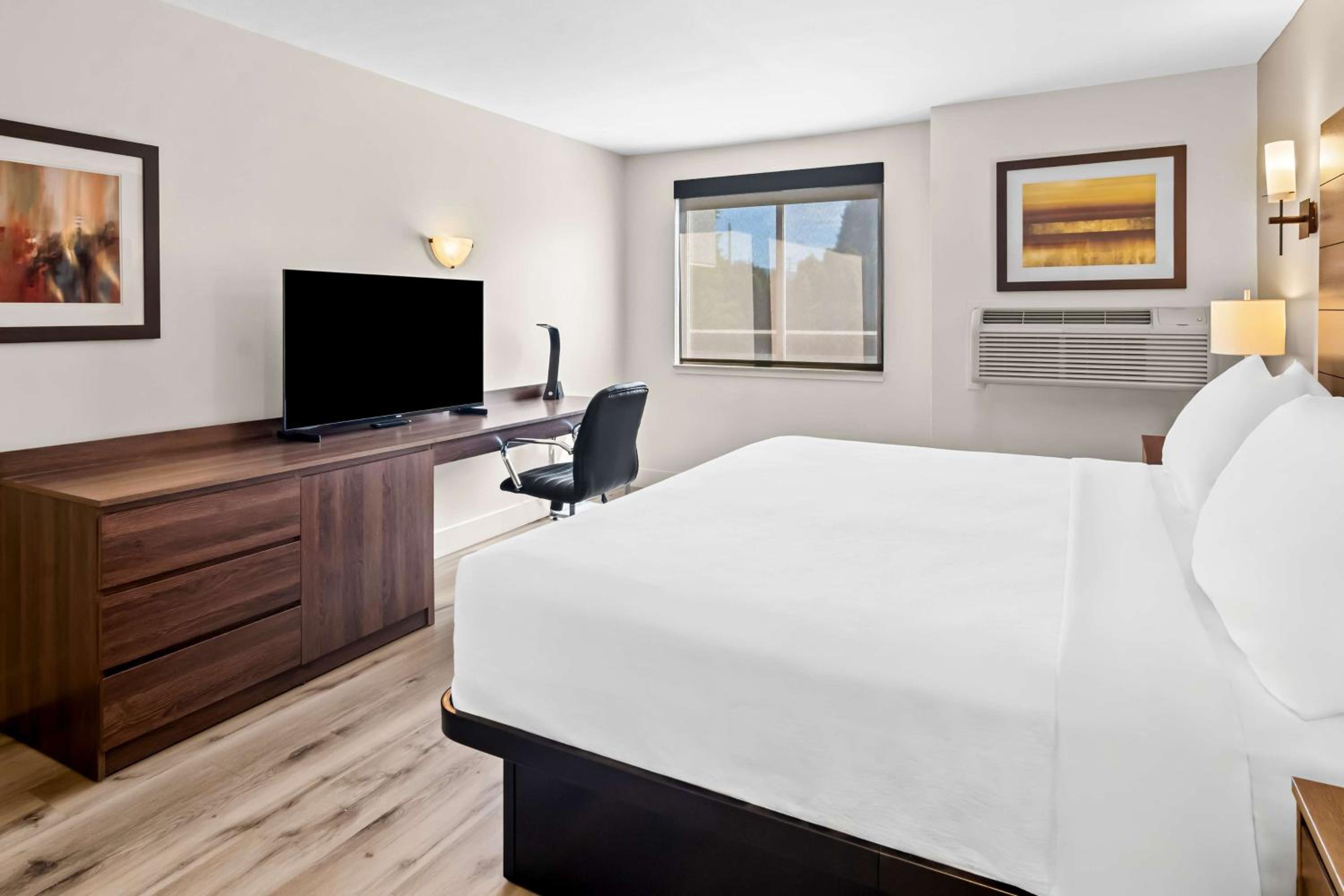 One-Bedroom King Suite with Sofa Bed - Non-Smoking - Photo 3
