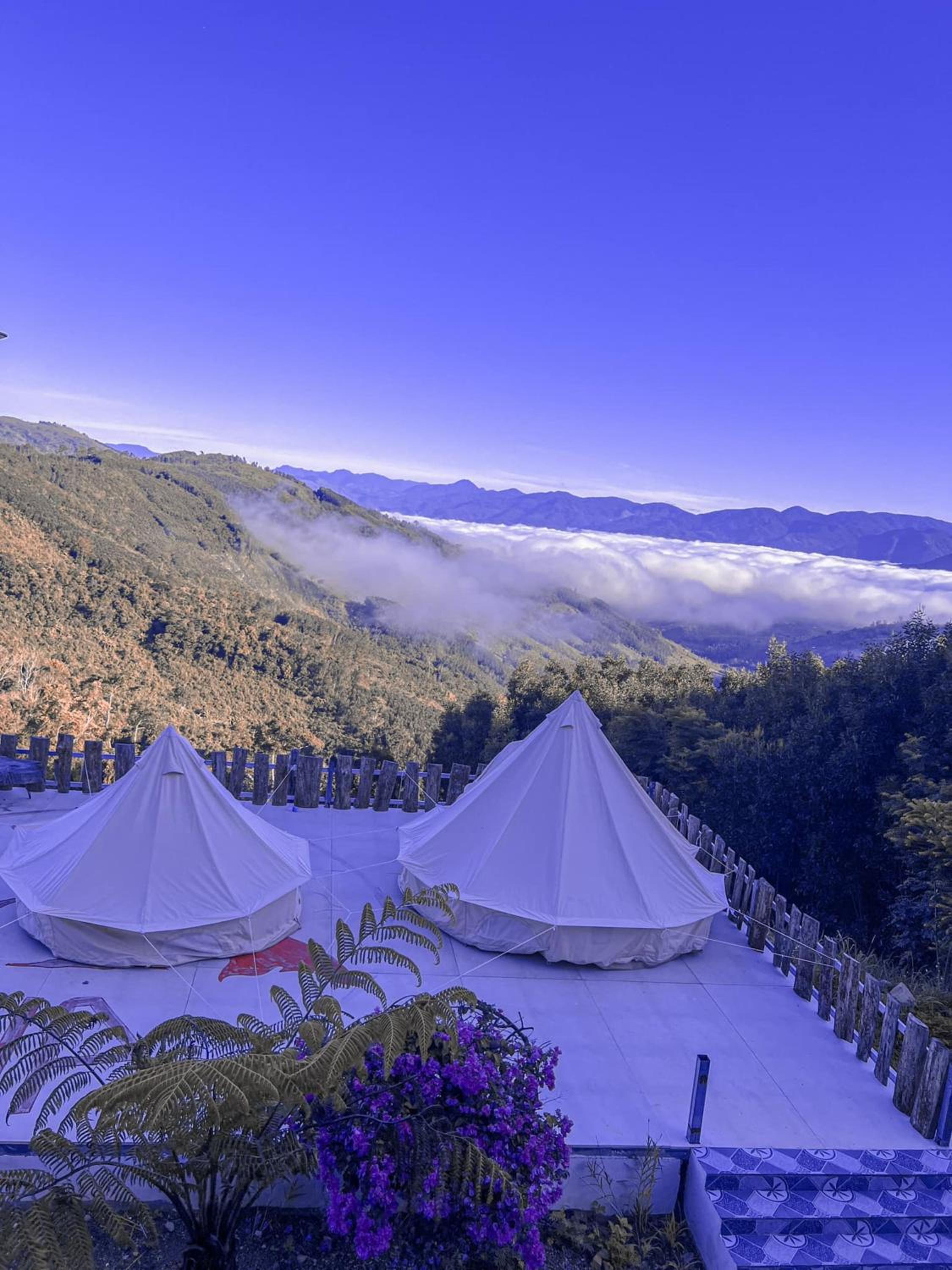 Tent