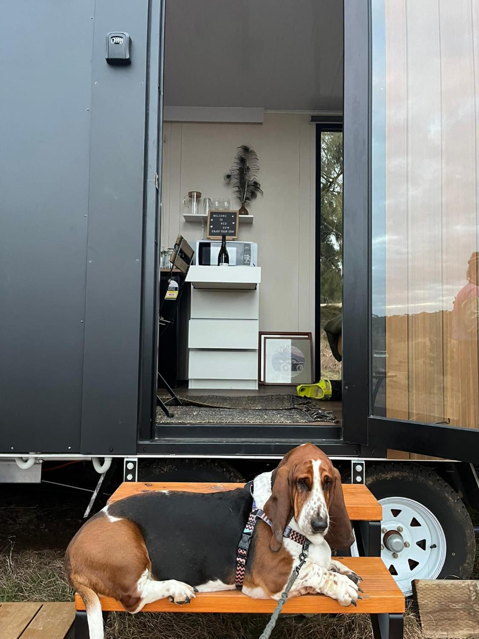 Mobile Home photo 3