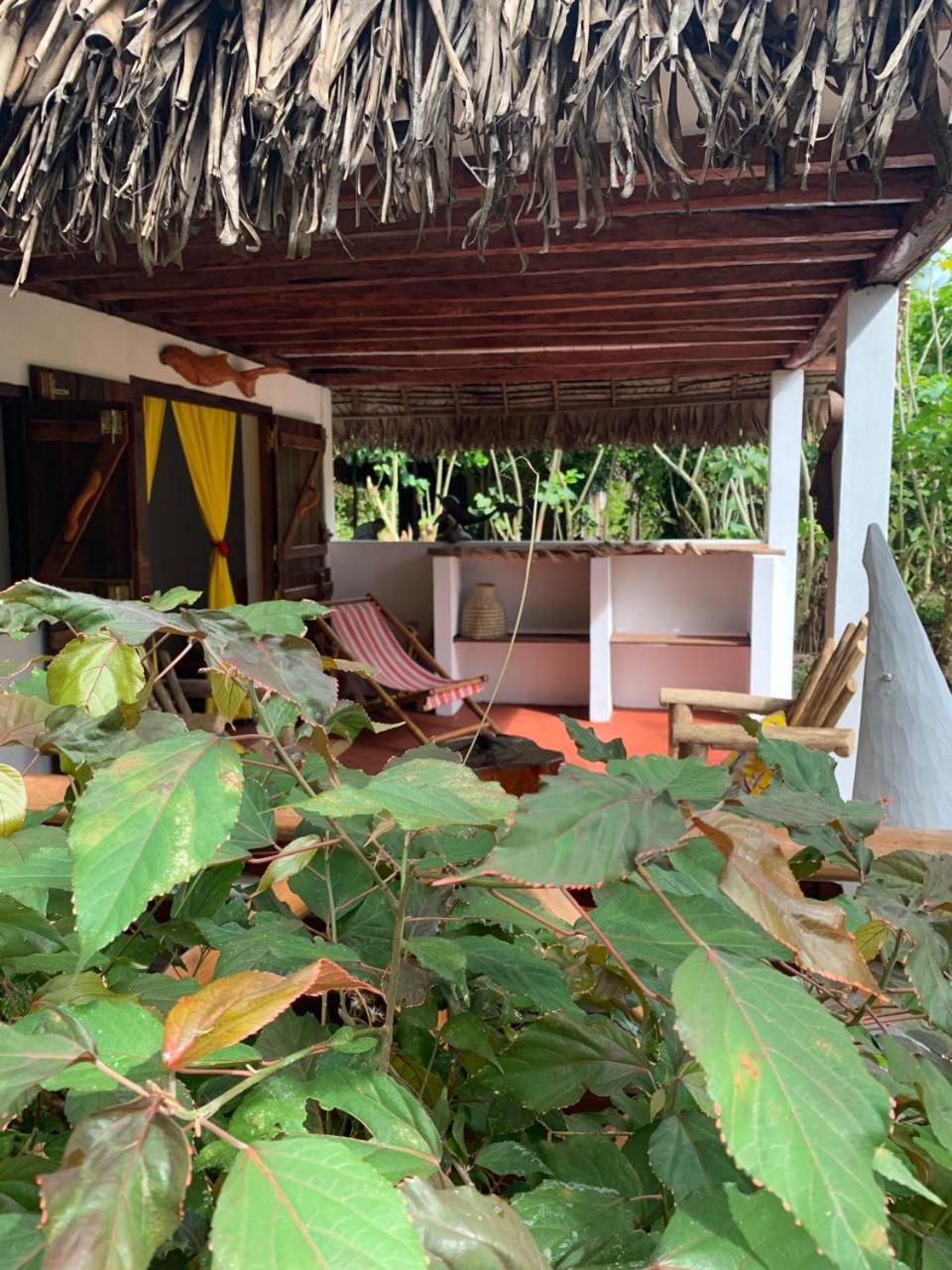 Superior Bungalow photo 3