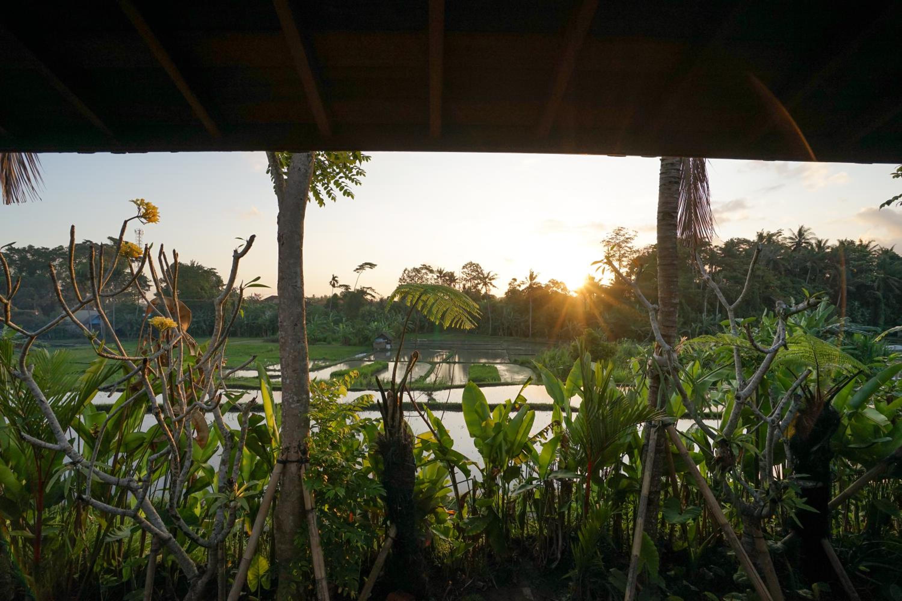 Wooden Deluxe With Rice Field View  - Photo 16