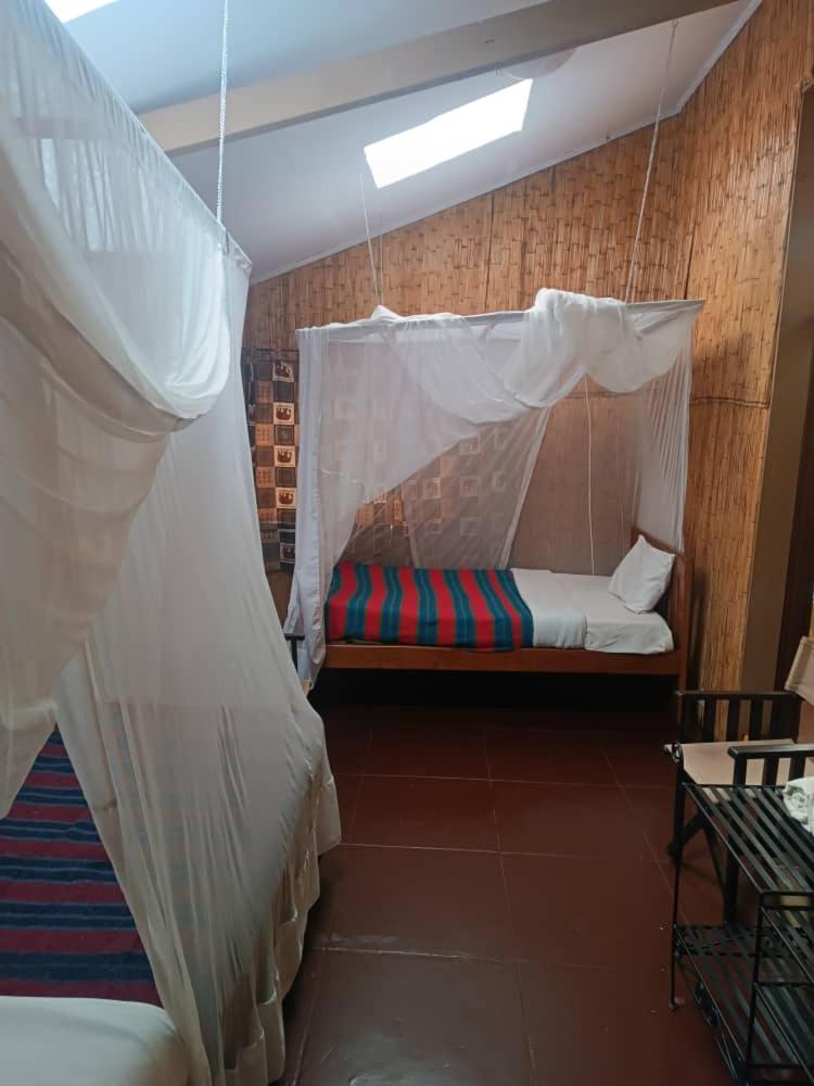 Economy Single Room photo 1