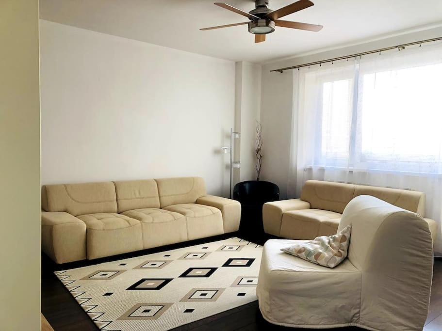 One-Bedroom Apartment photo 3