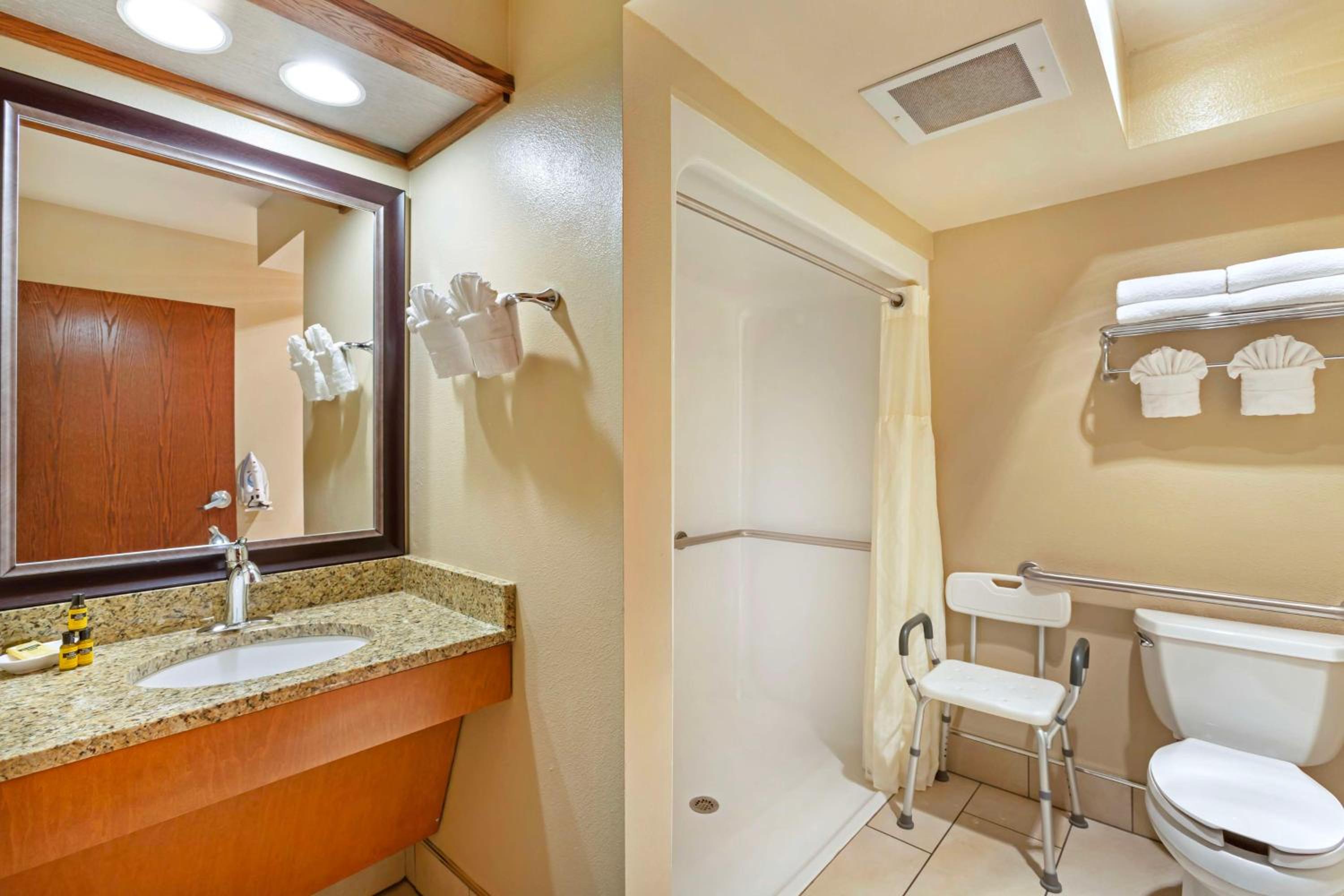 King Room with Roll-In Shower - Disability Access - Photo 5