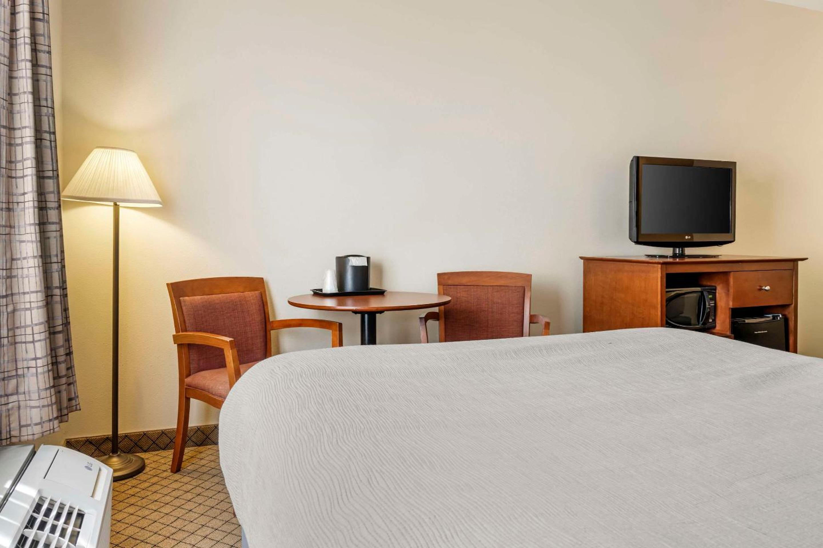 Queen Room with Sofa Bed - Non-Smoking
