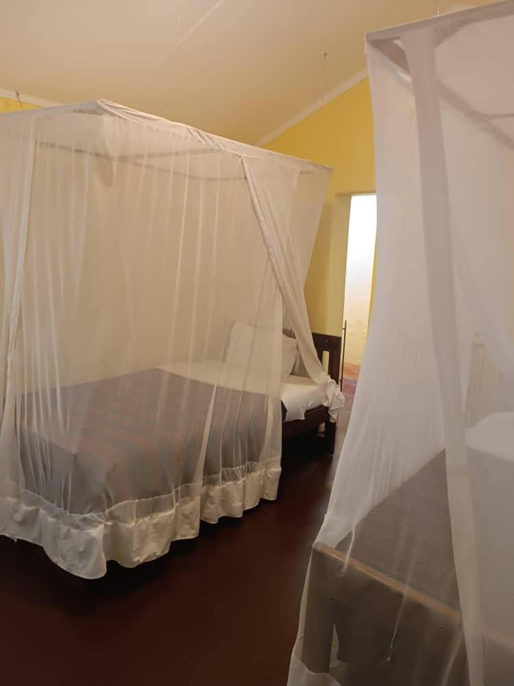 Double or Twin Room photo 2