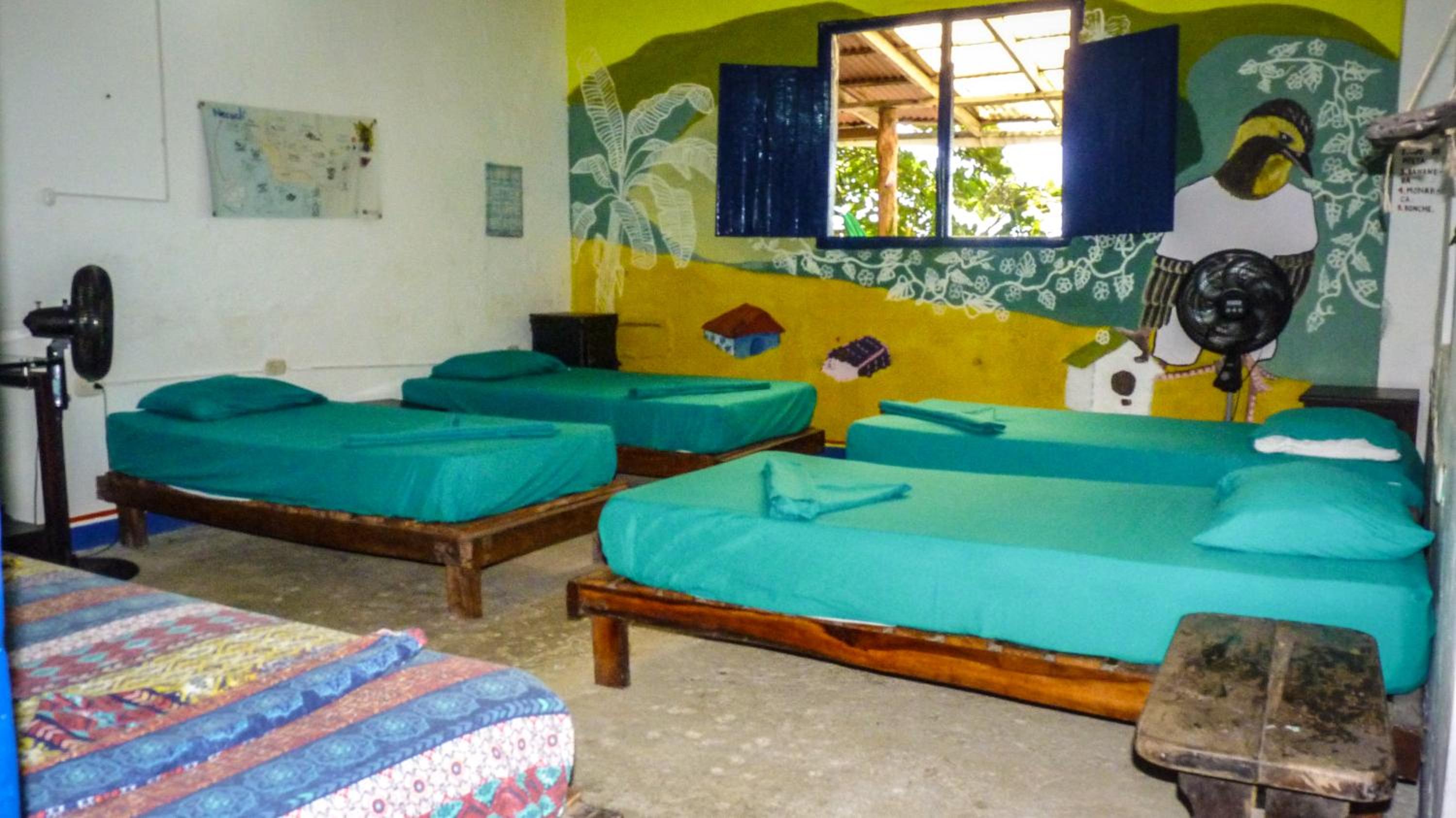 Bed in 6-Bed Dormitory Room photo 1
