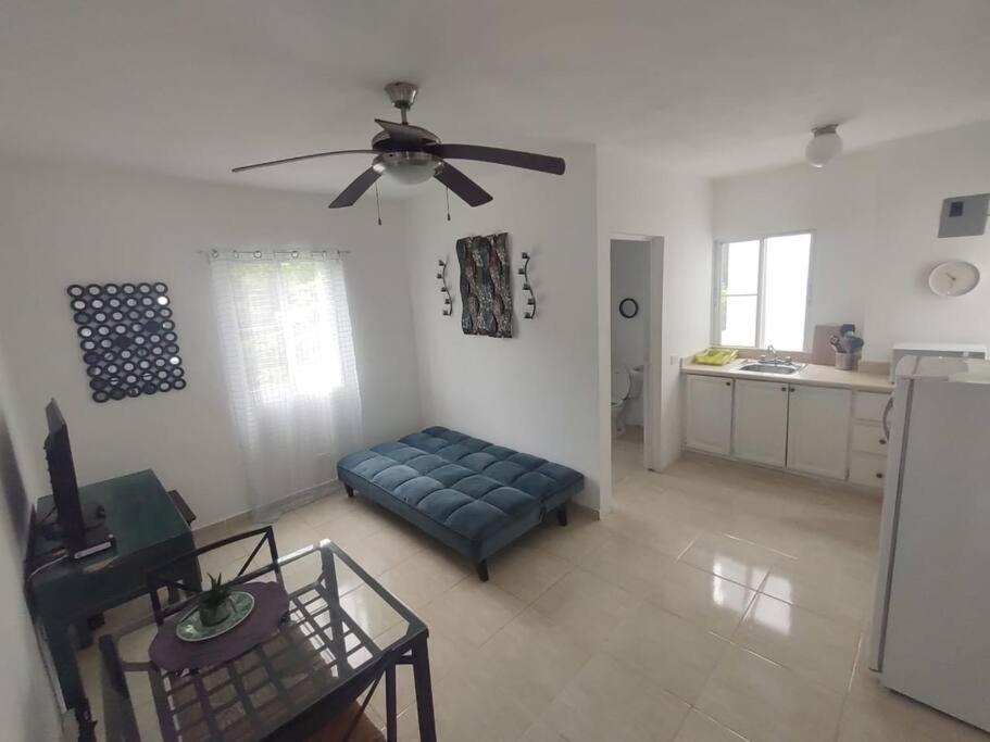 One-Bedroom Apartment photo 2