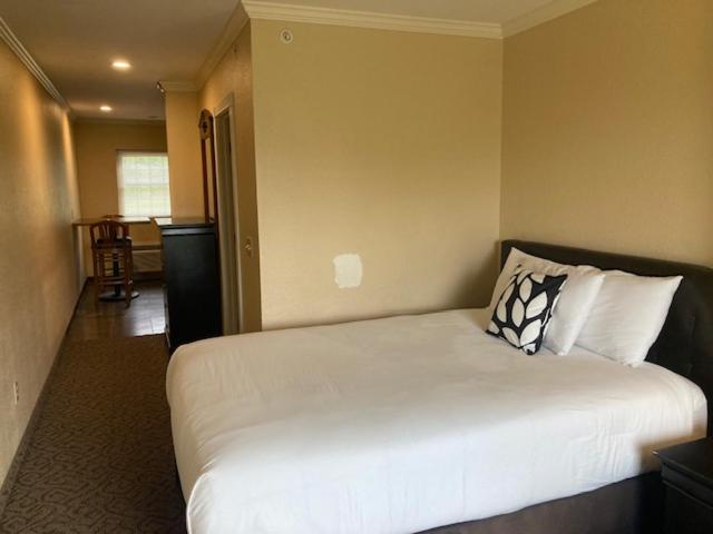 One-Bedroom Suite - Photo 4