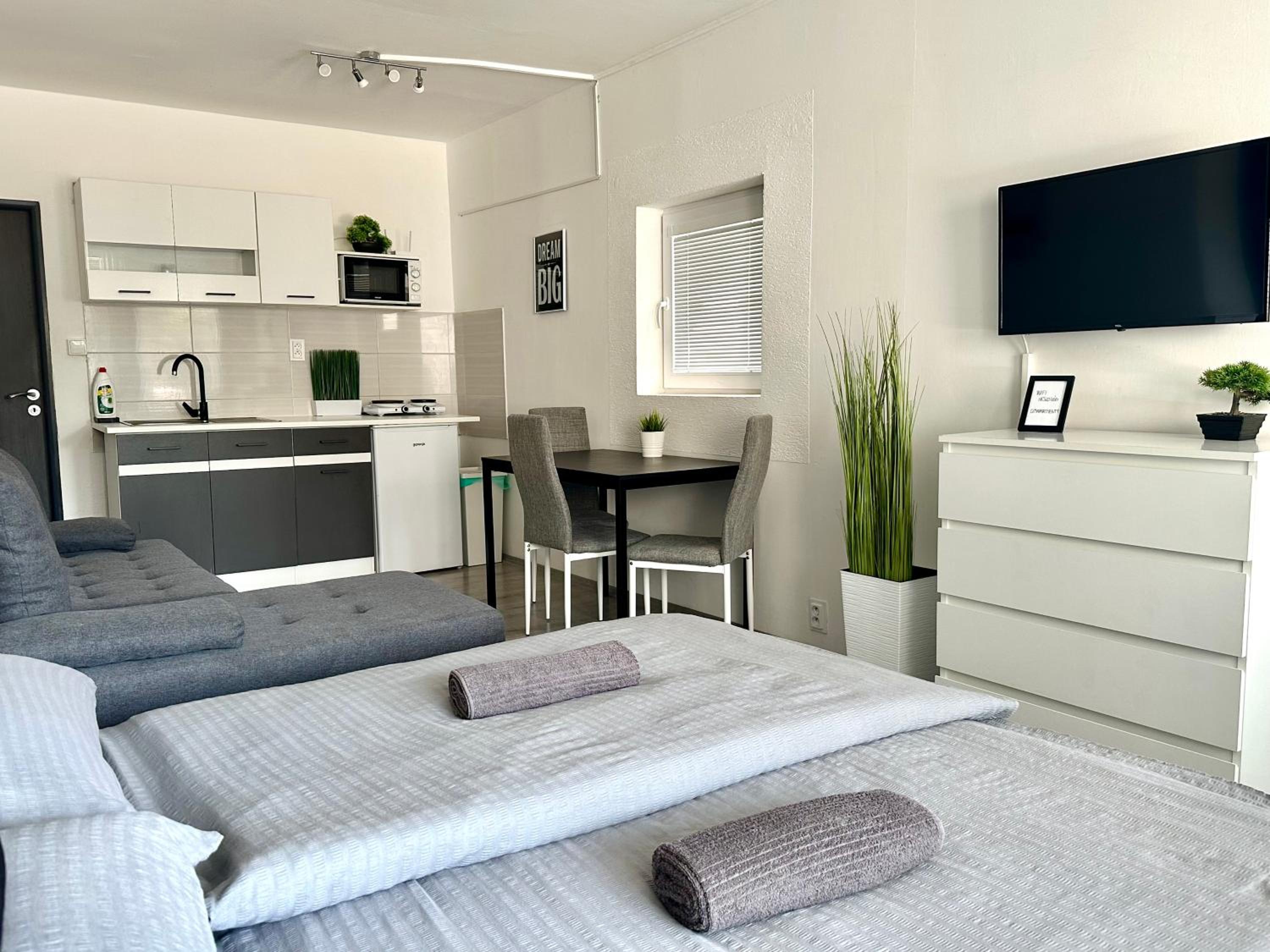 Apartment with Terrace - Photo 5
