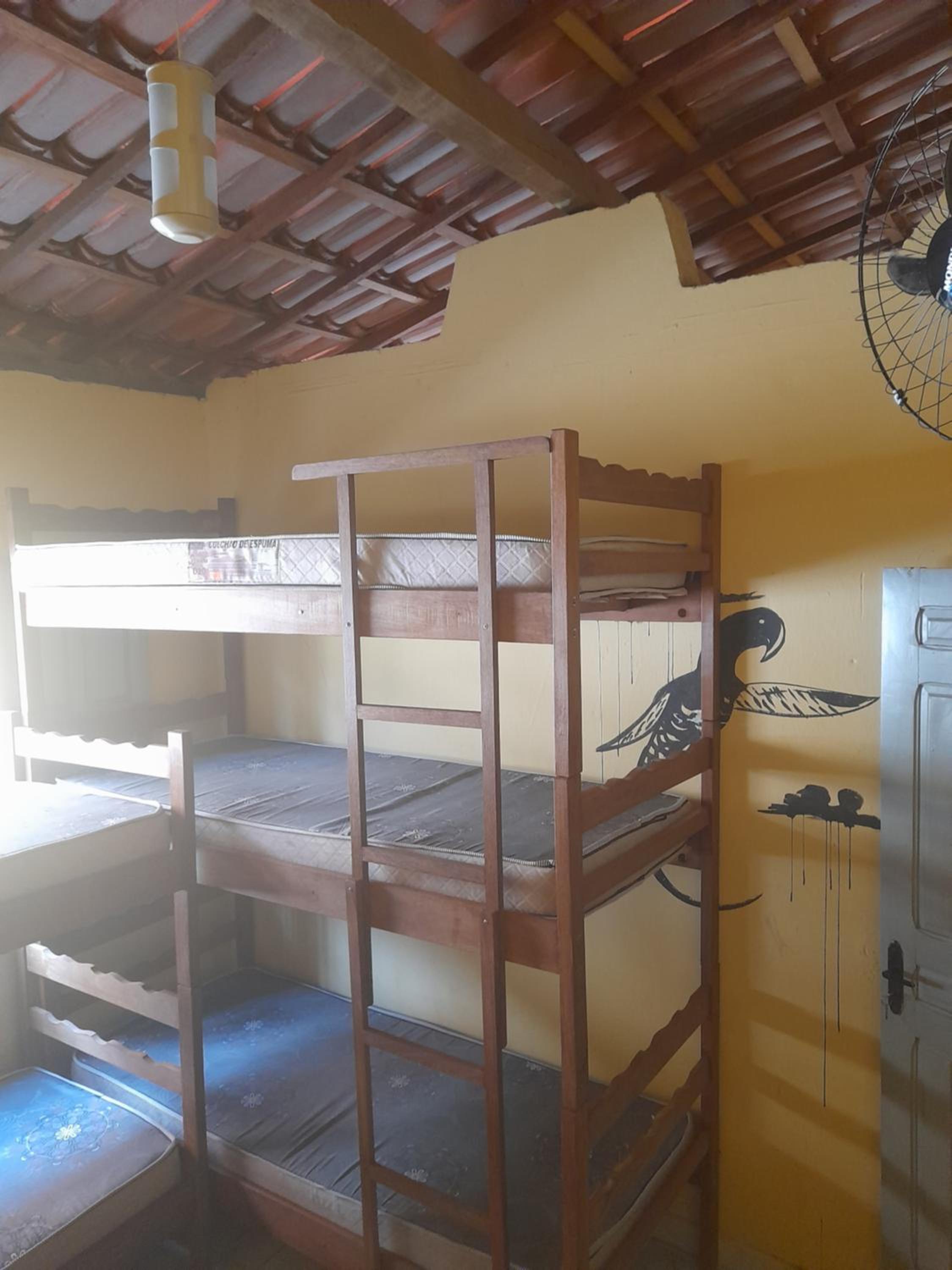 Mixed Dormitory Room photo 1
