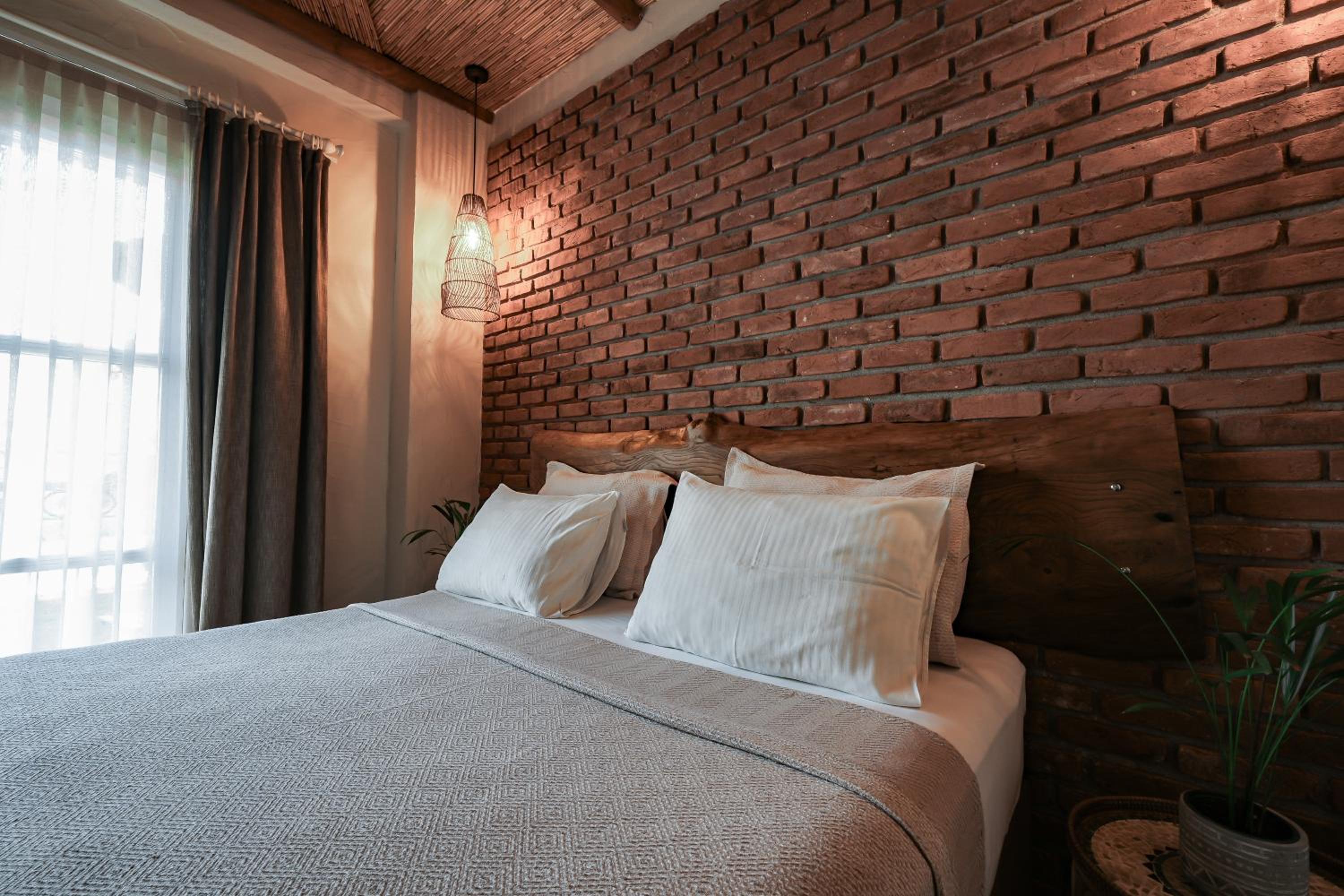 Standard Double Room - Photo 6