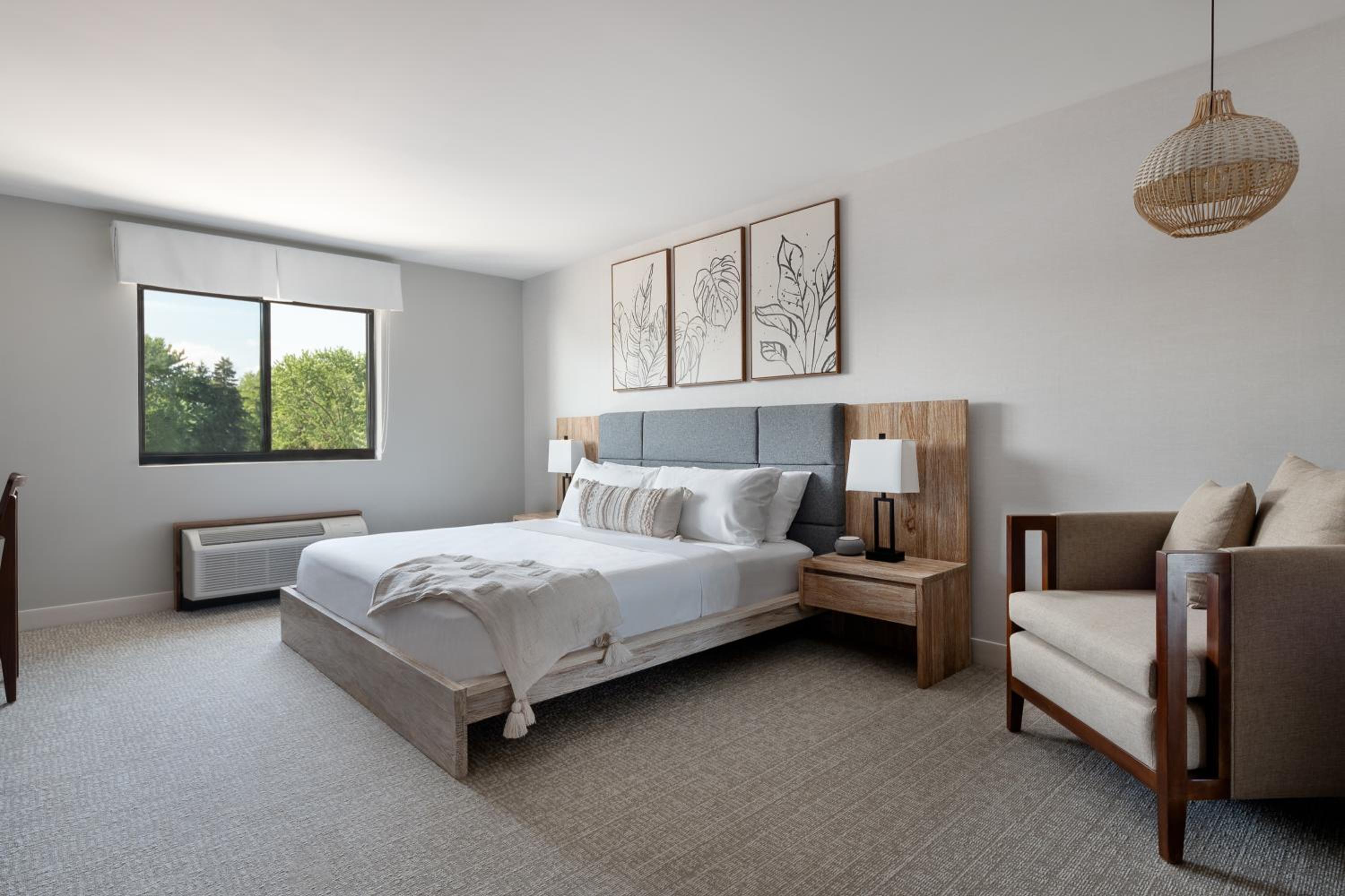 King Room photo 1