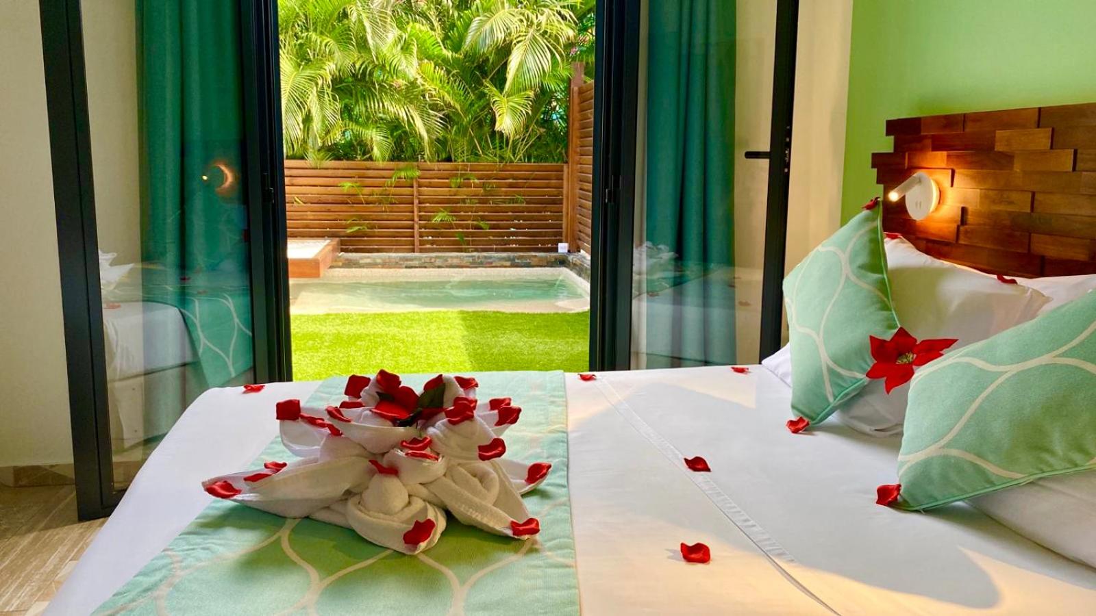 Suite with Private Pool photo 1