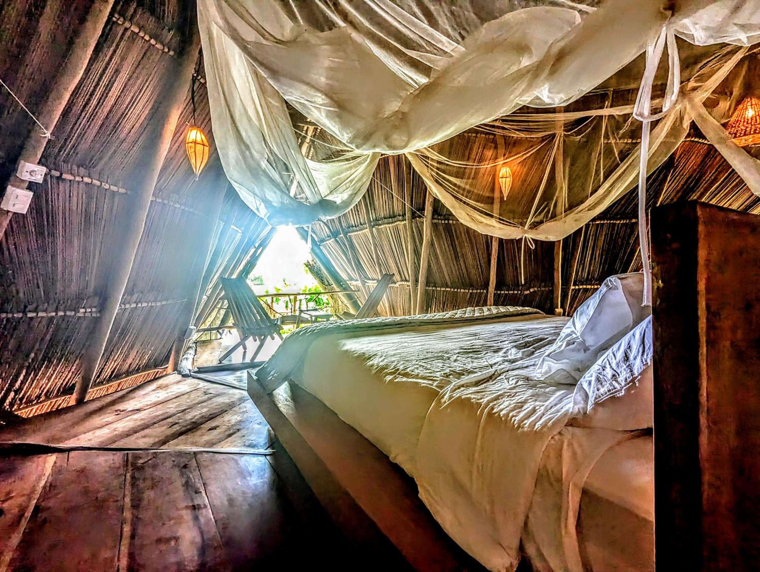 Deluxe King Room photo 1