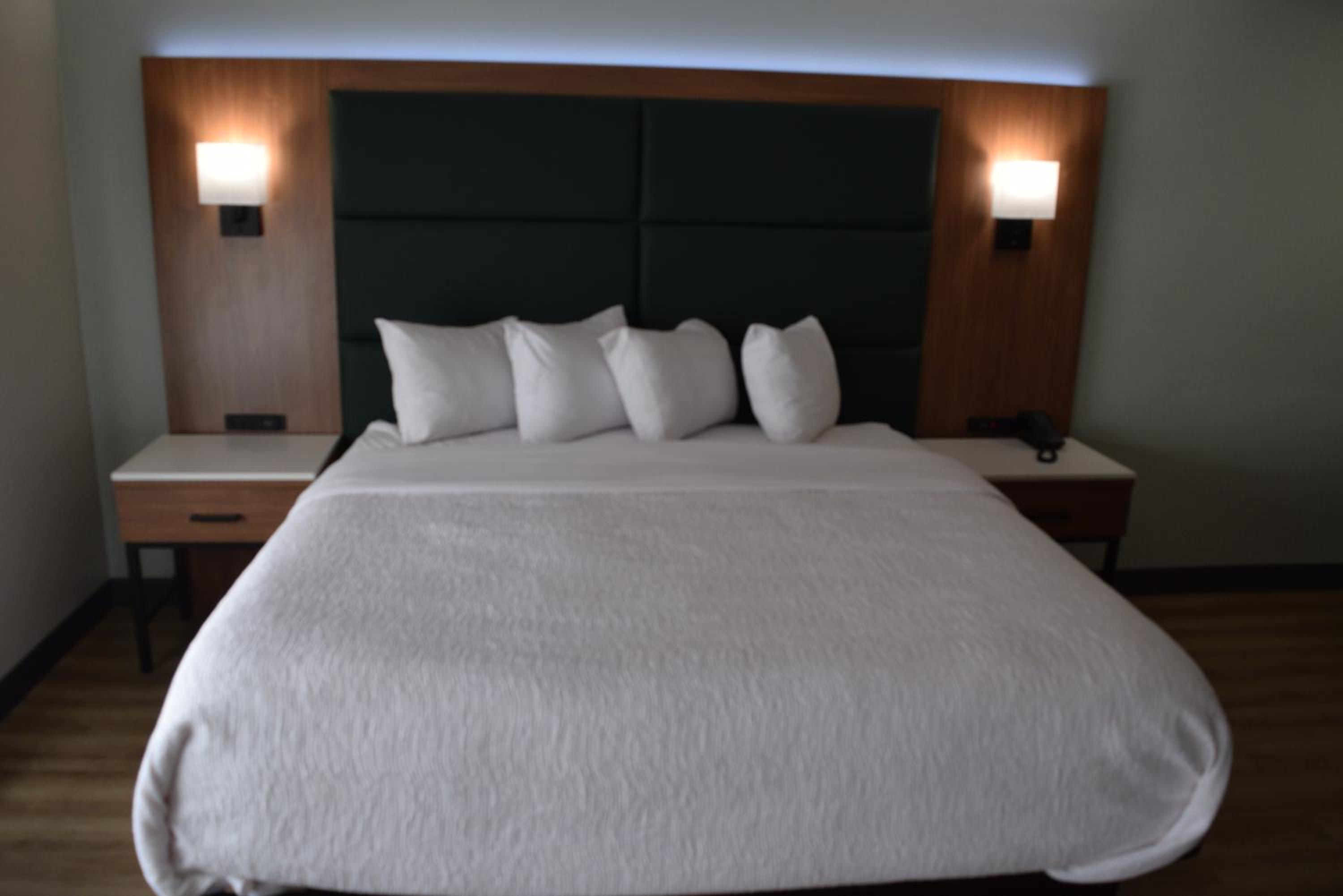 King Studio Suite with Walk-In Shower - Mobility Accessible/Non-Smoking - Photo 3