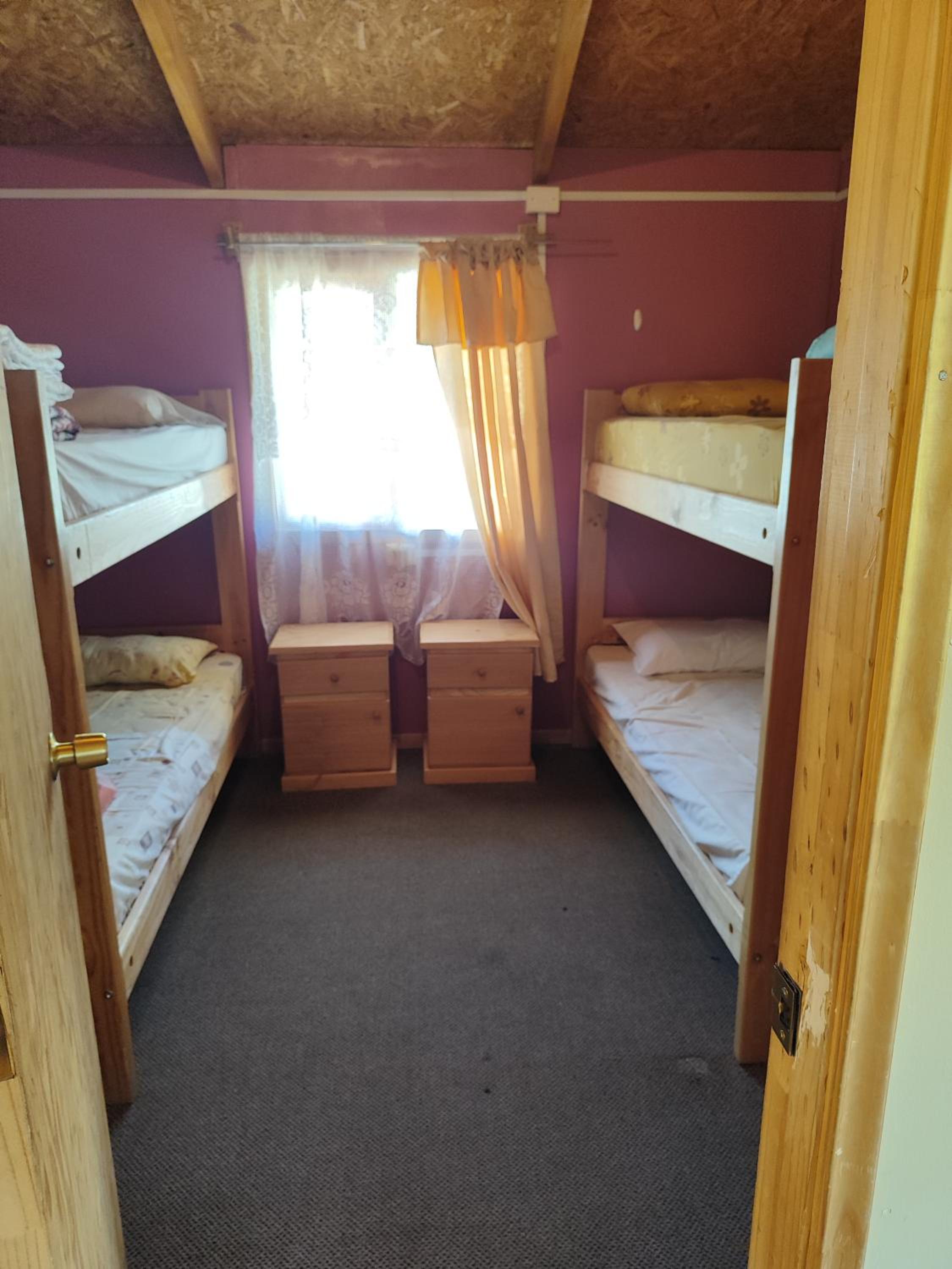 Bunk Bed In Mixed Dormitory Room photo 1