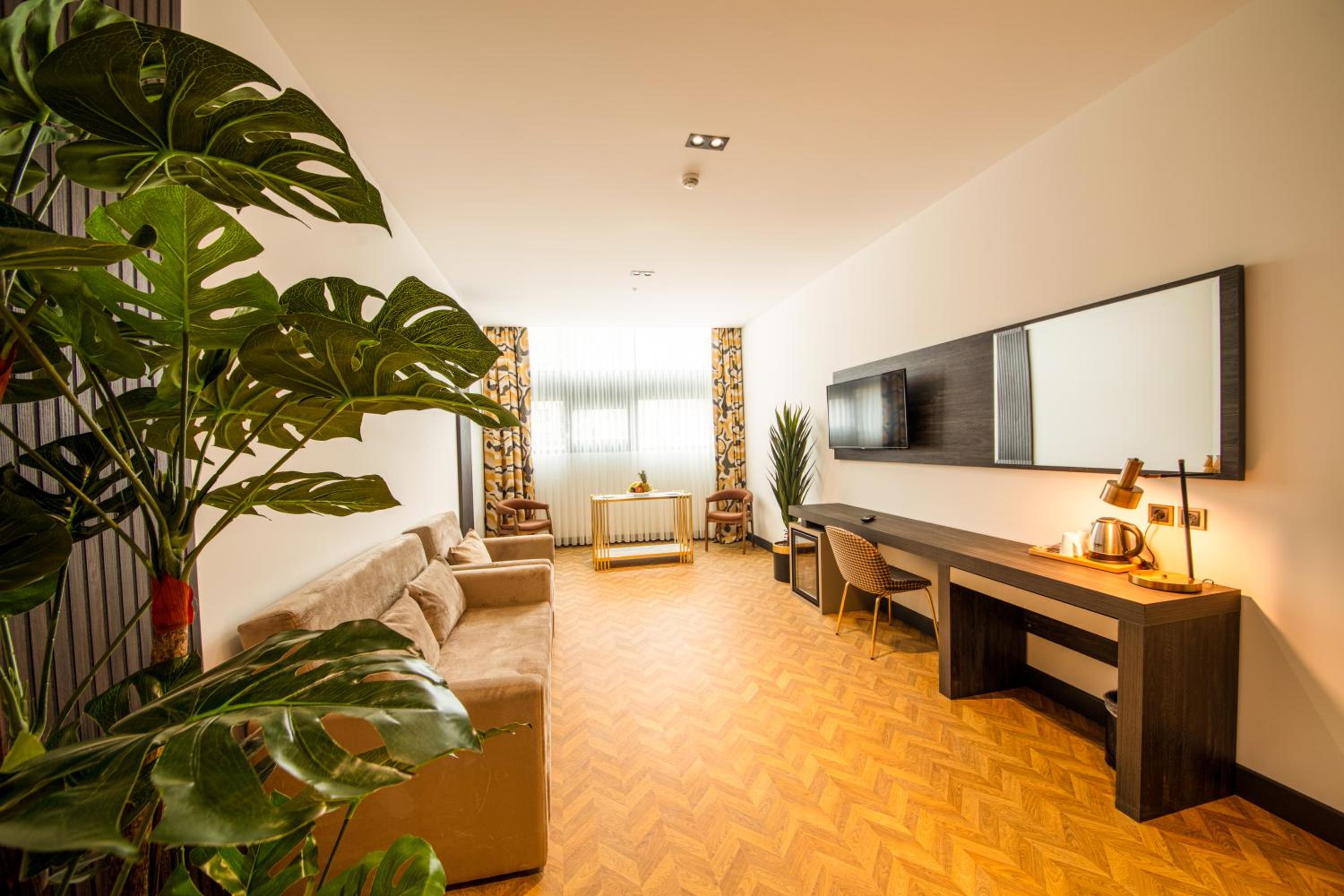 Suite - Photo 1