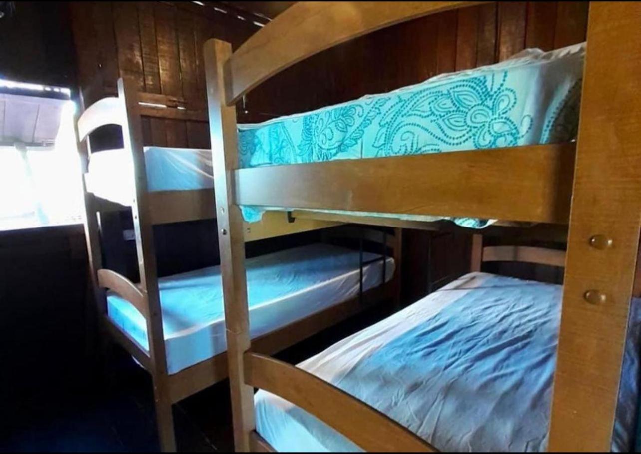 Single Bed in Female Dormitory Room photo 1
