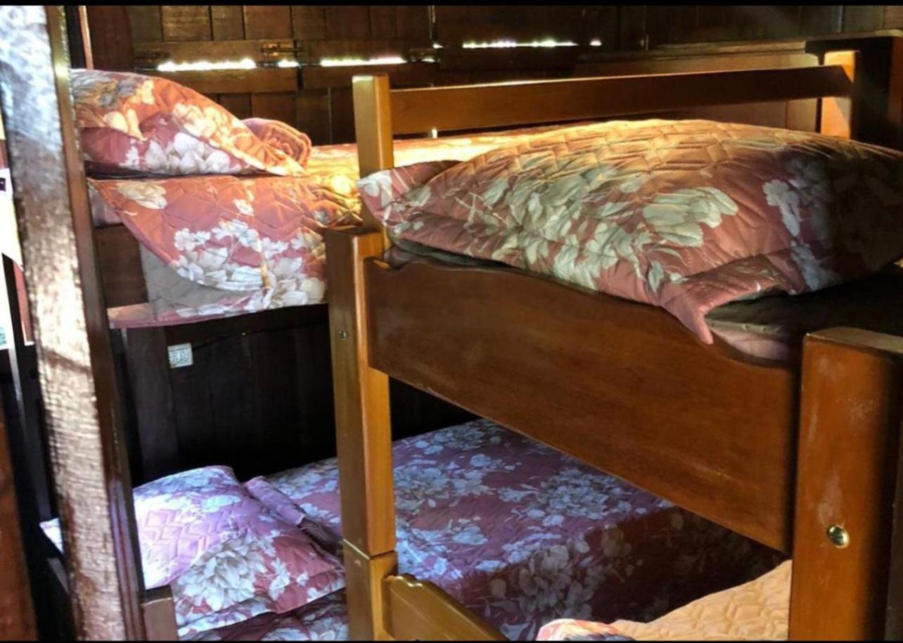 Single Bed in Female Dormitory Room photo 3