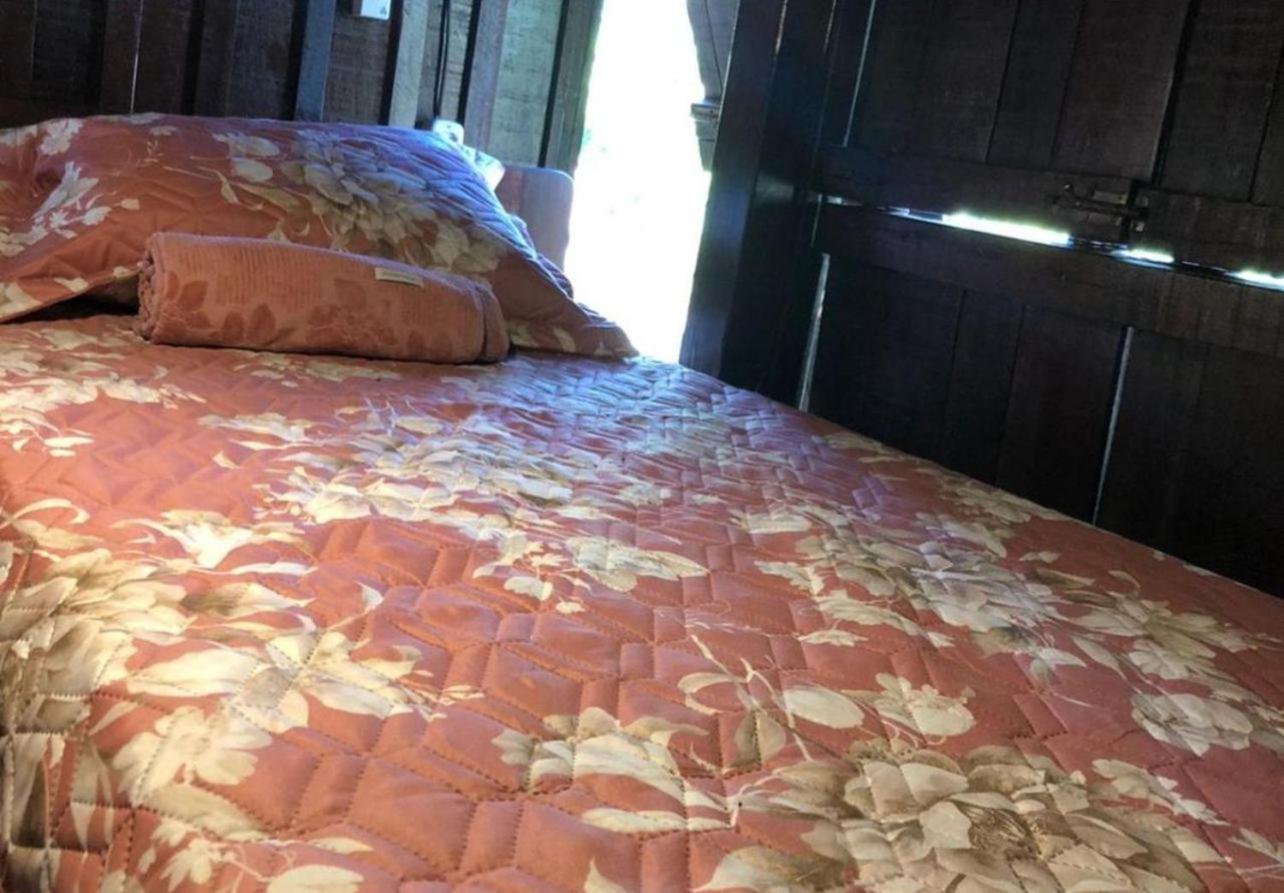 Single Bed in Female Dormitory Room photo 2