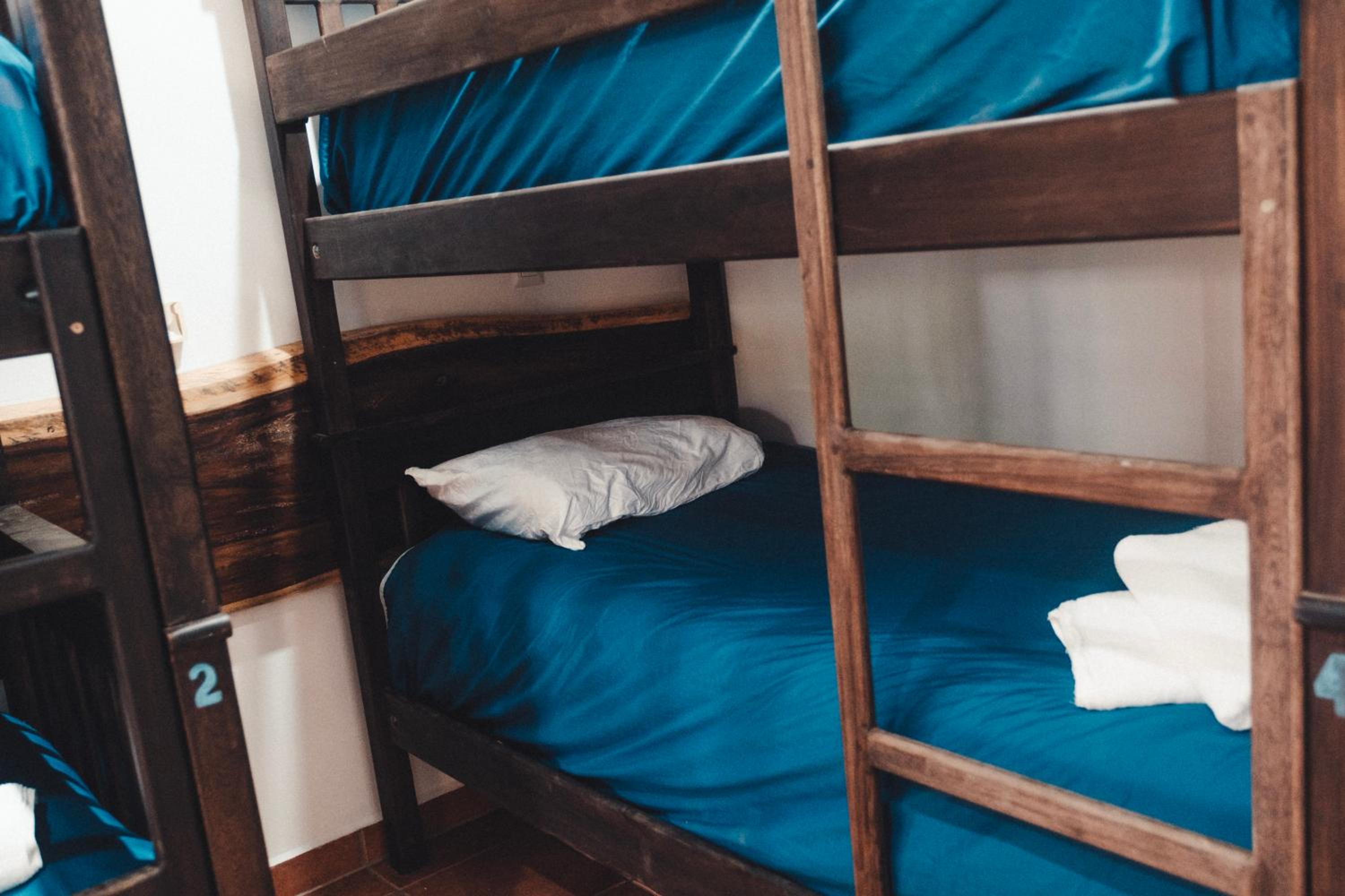 Bed in 4-Bed Mixed Dormitory Room photo 2