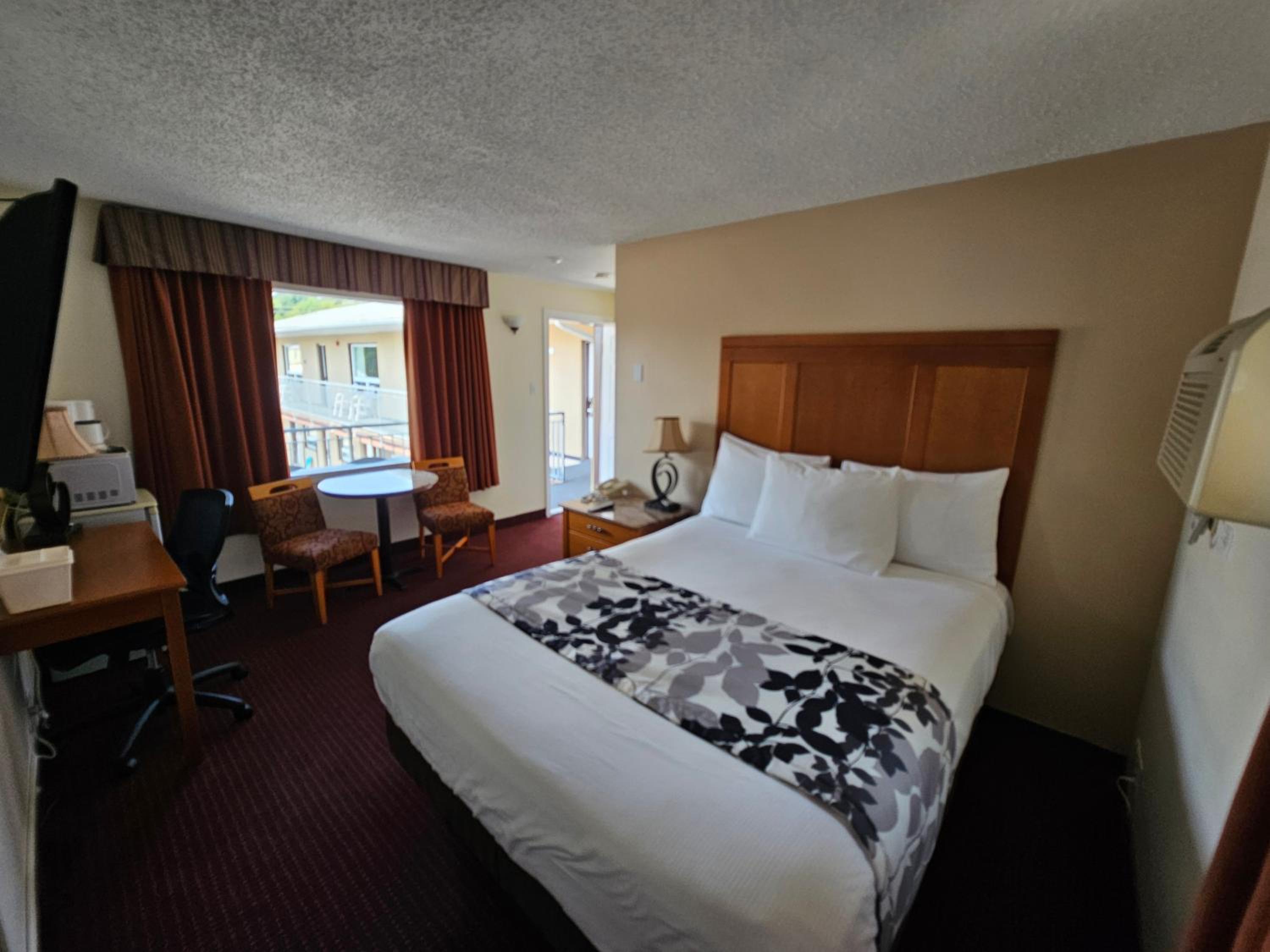 Queen Room photo 1