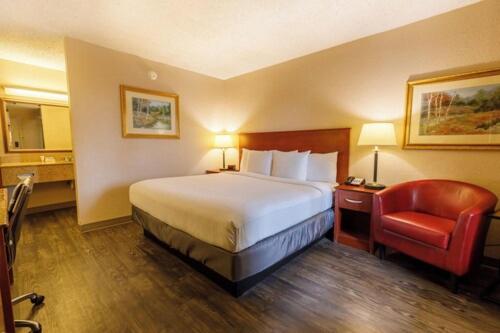 King Room photo 1