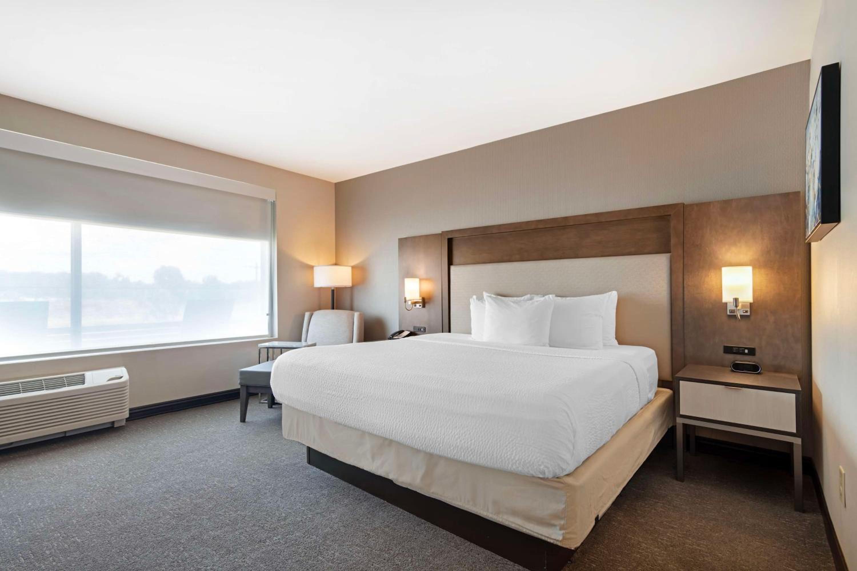 King Suite With Sofa Bed And Communication Assistance - Photo 1