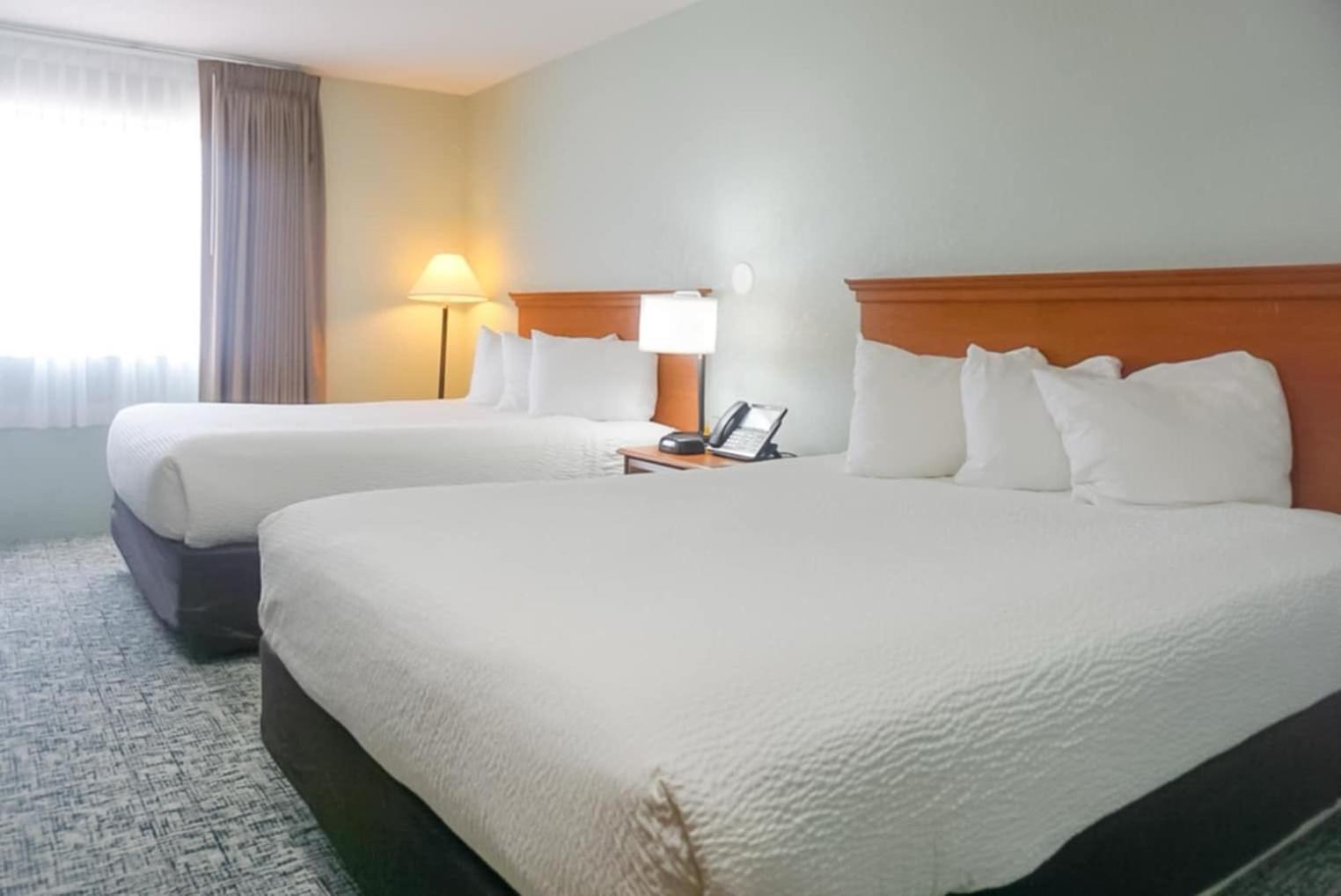 Studio Suite with Two Queen Beds photo 1