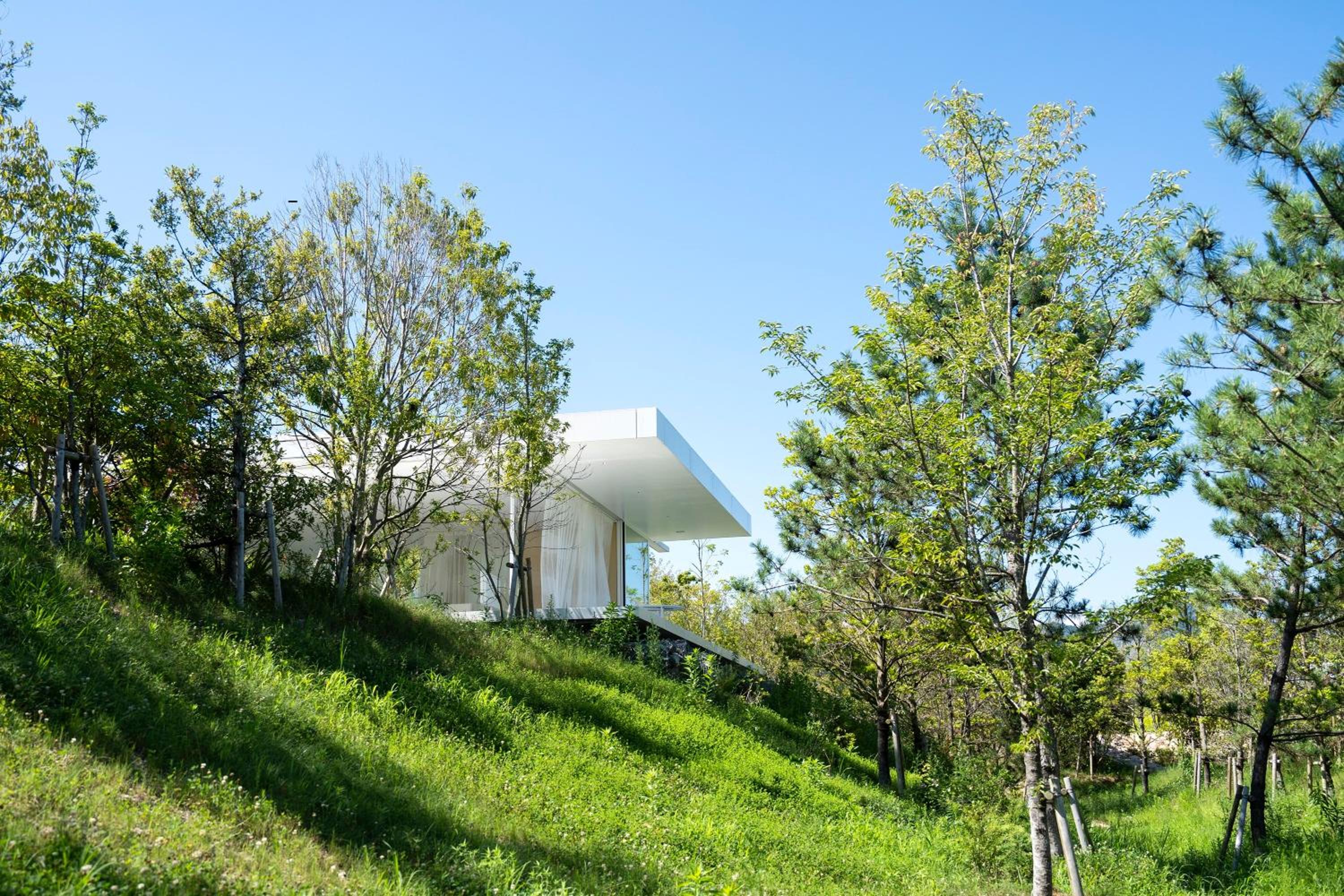 Villa with Sea View photo 2