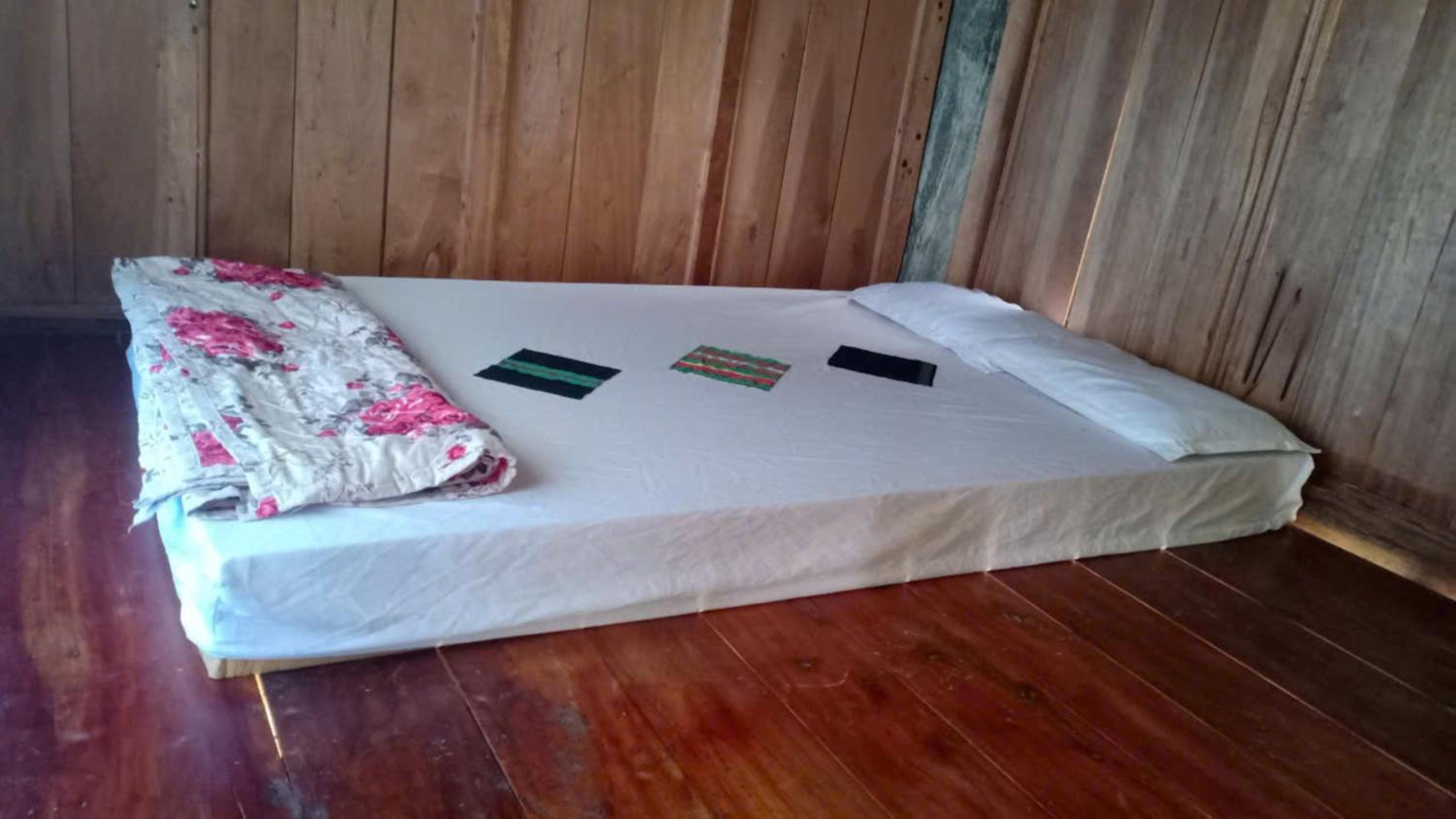 Bunk Bed In Mixed Dormitory Room photo 2