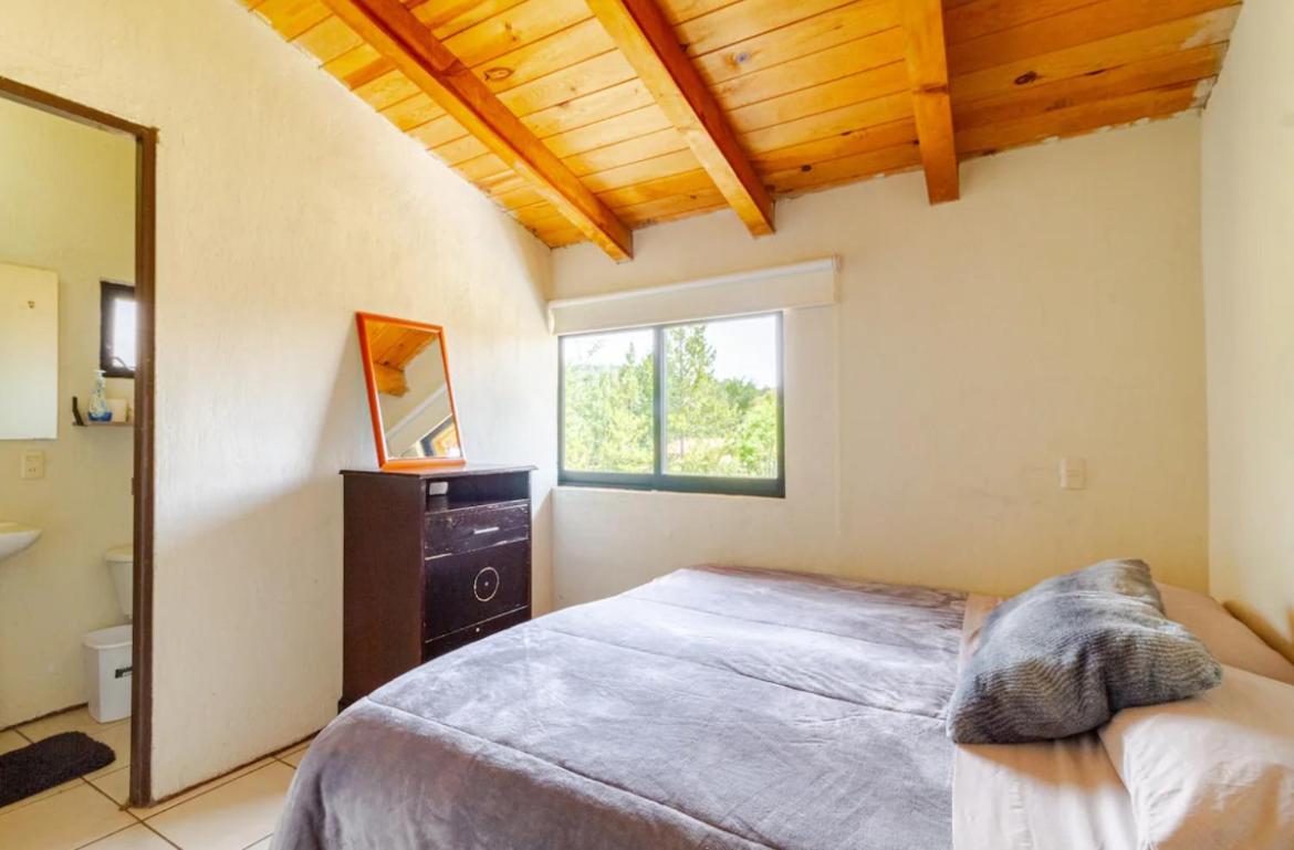 Seven-Bedroom House photo 3