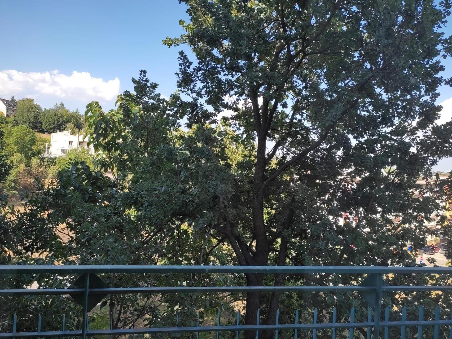 Standard Single Room with Mountain View photo 2