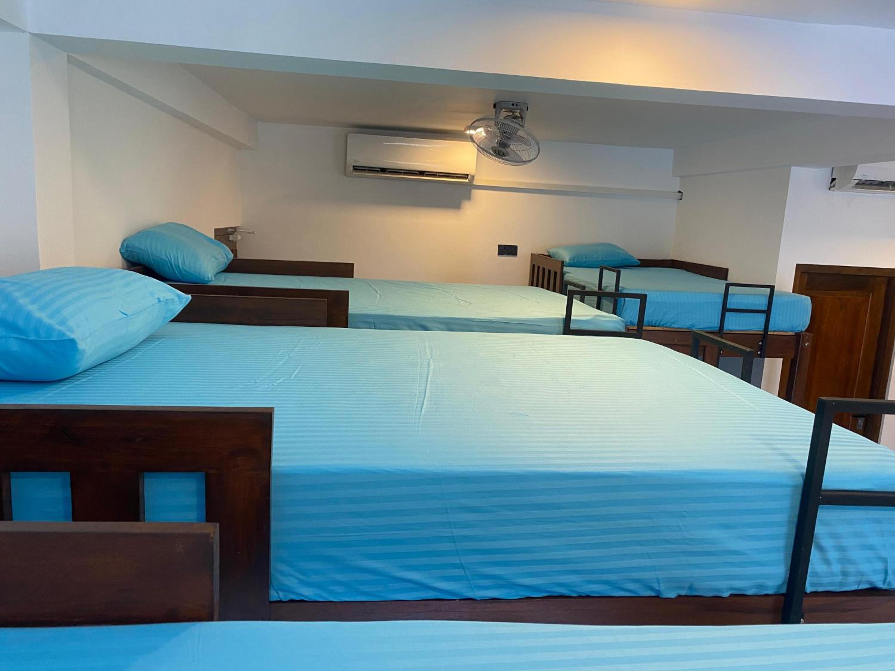 Bunk Bed in Mixed Dormitory Room photo 3