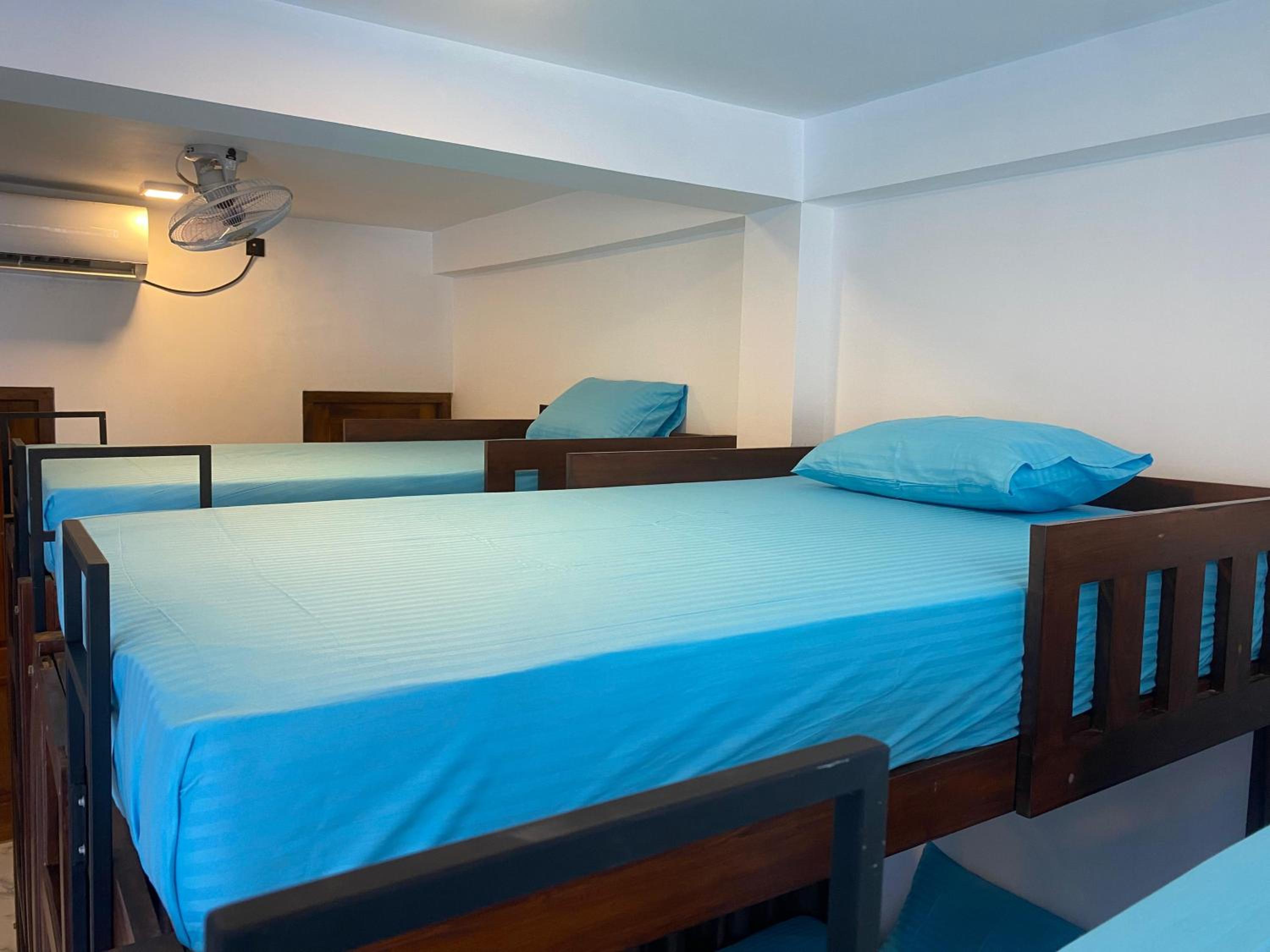 Bunk Bed in Mixed Dormitory Room photo 2