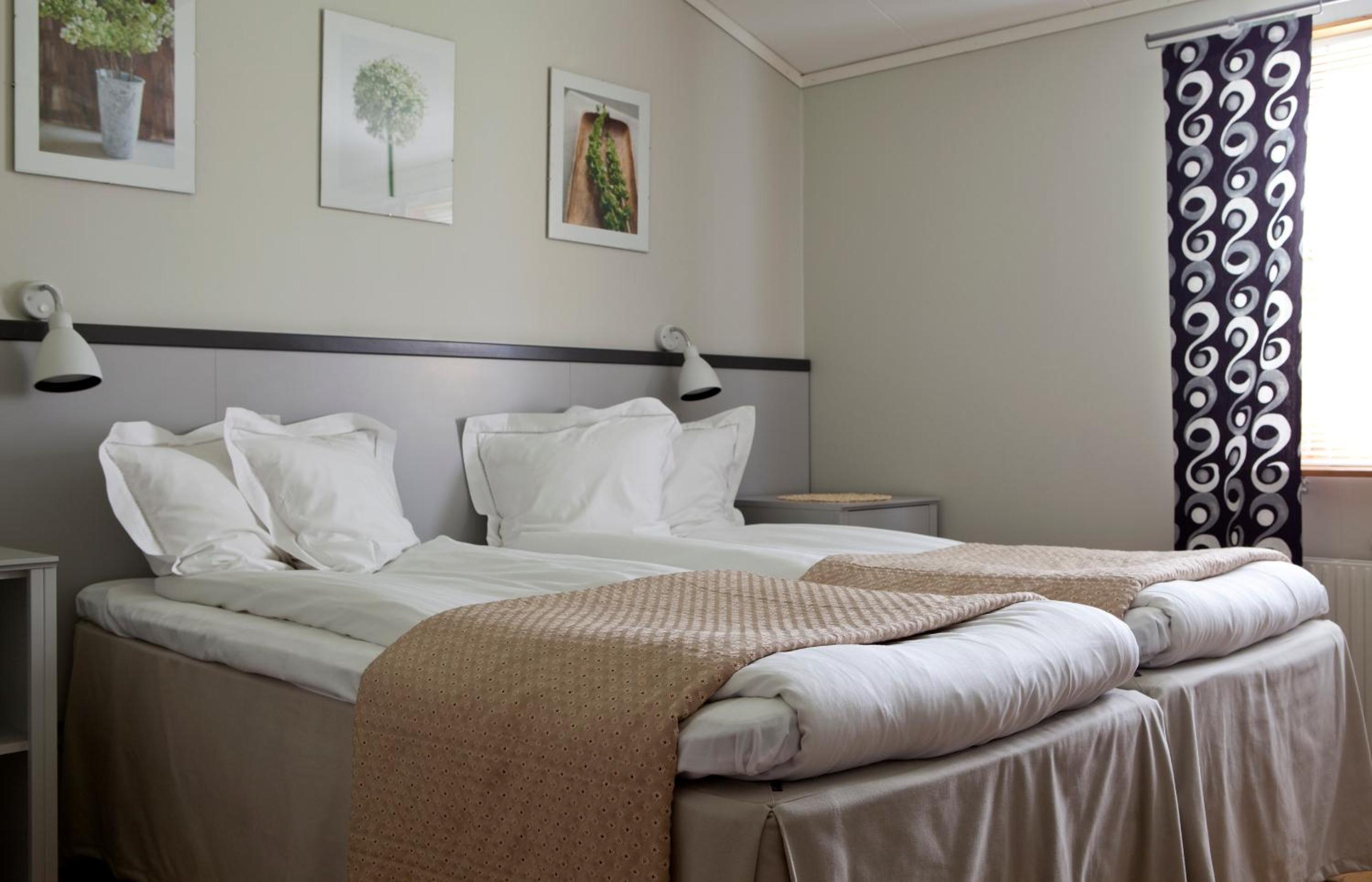 Twin Room photo 1