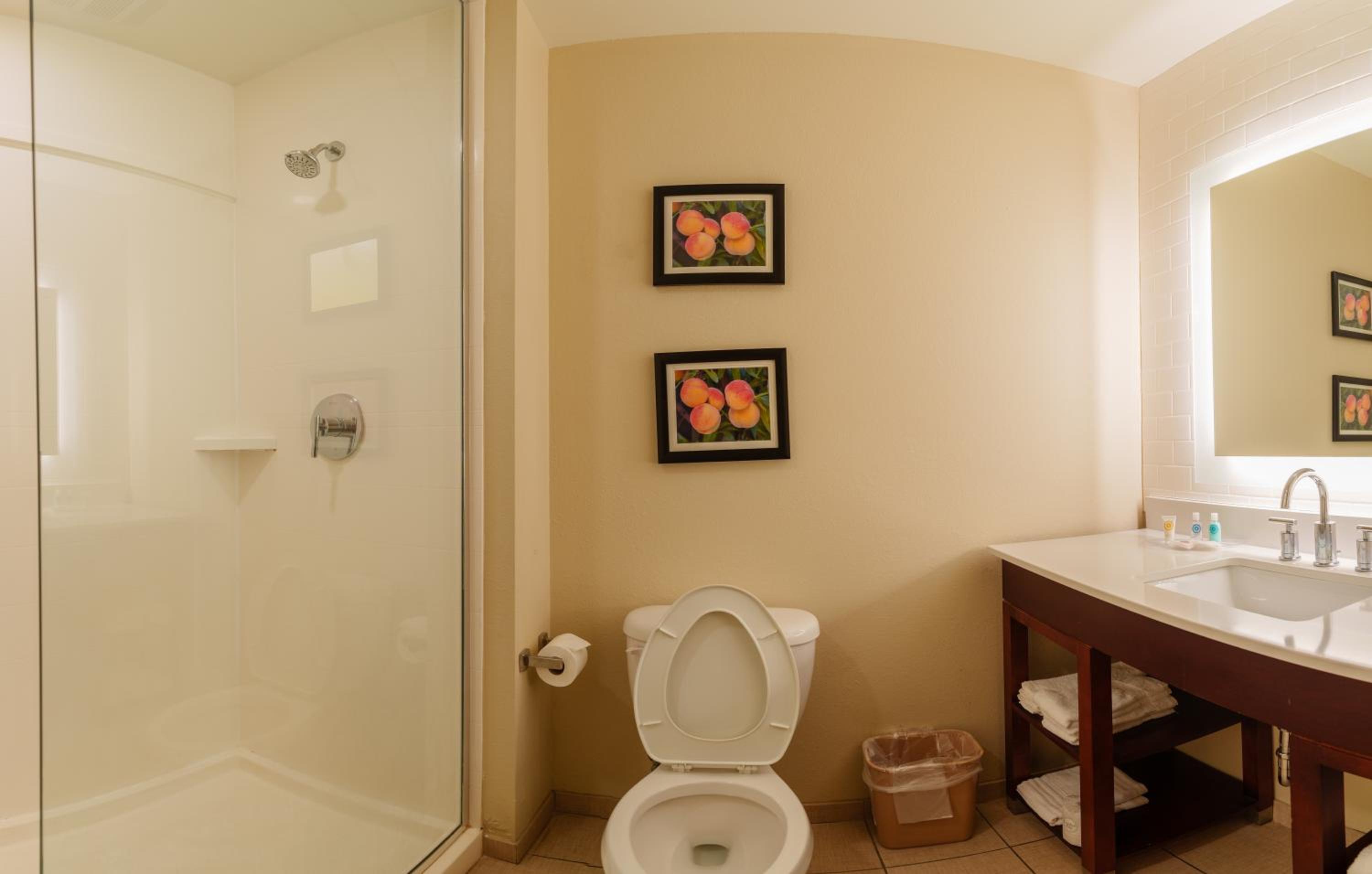 King Suite - Non Smoking - Photo 4