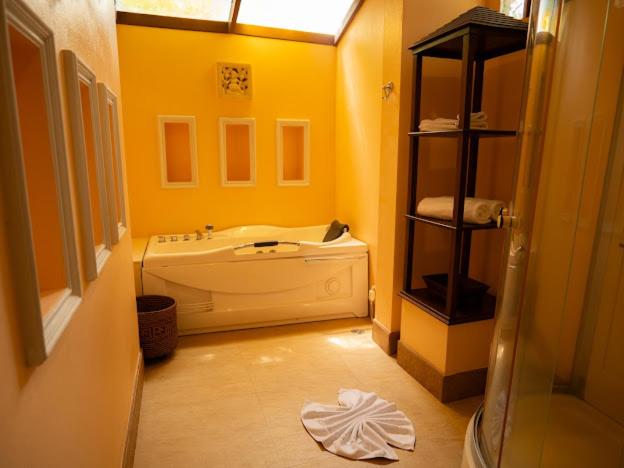 Deluxe Jacuzzi Villa Twin Bed photo 3