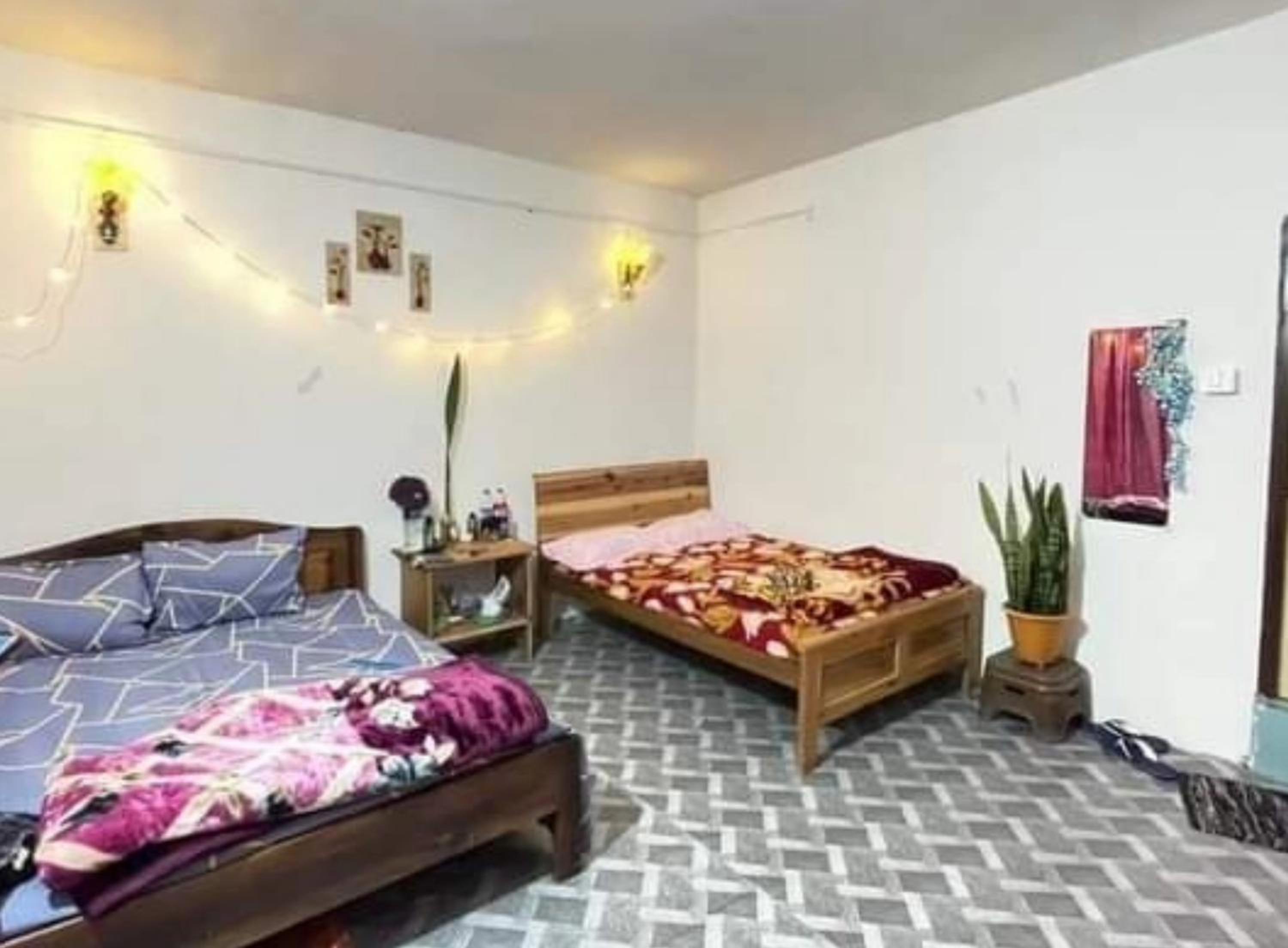 Comfort Quadruple Room photo 1