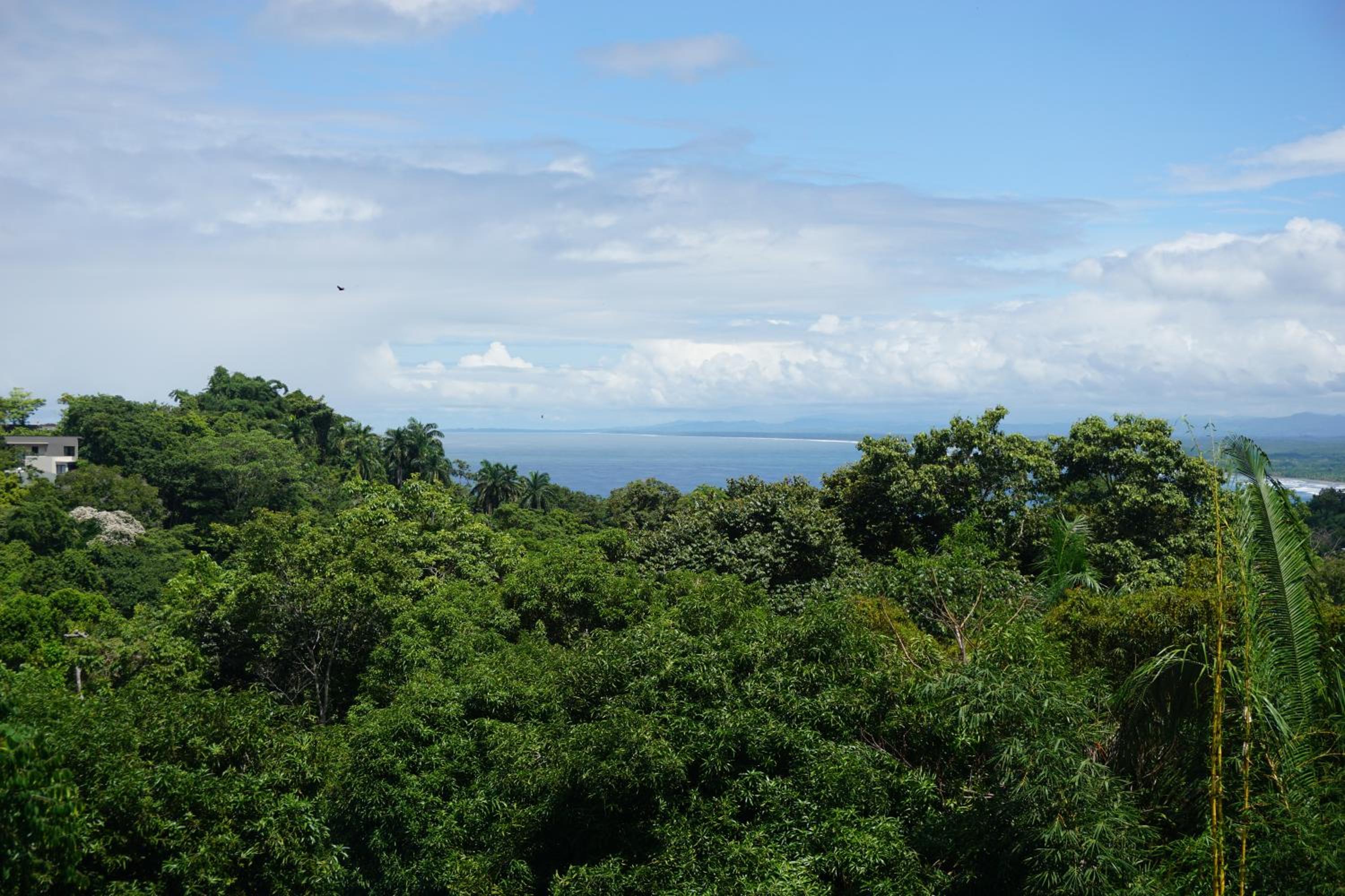 Premium Ocean View photo 3