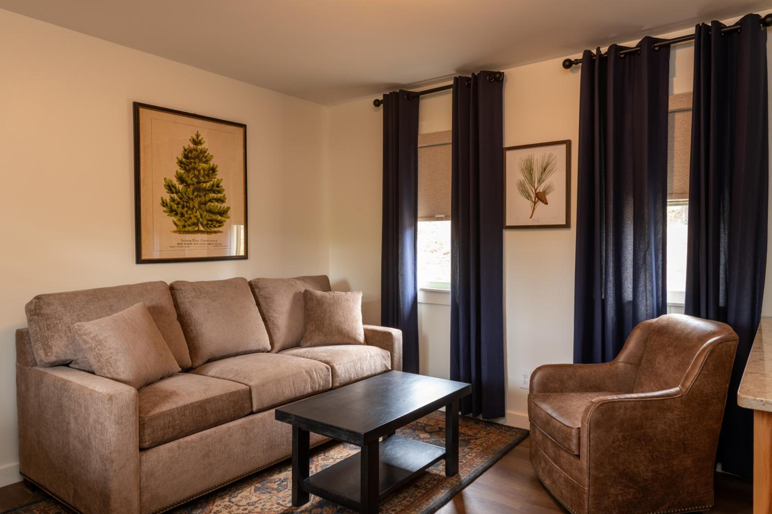 One-Bedroom Suite photo 2